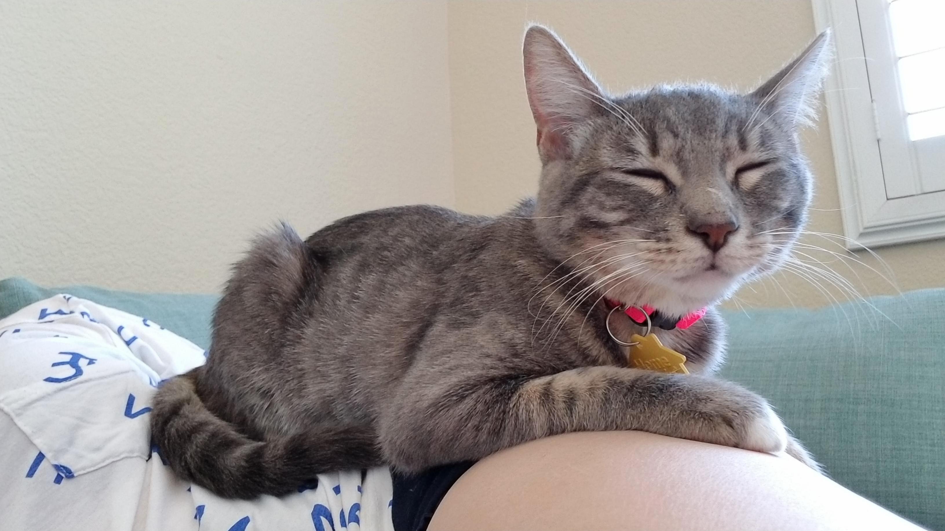 We Adopted Her Yesterday and I Think Shes Okay with It.