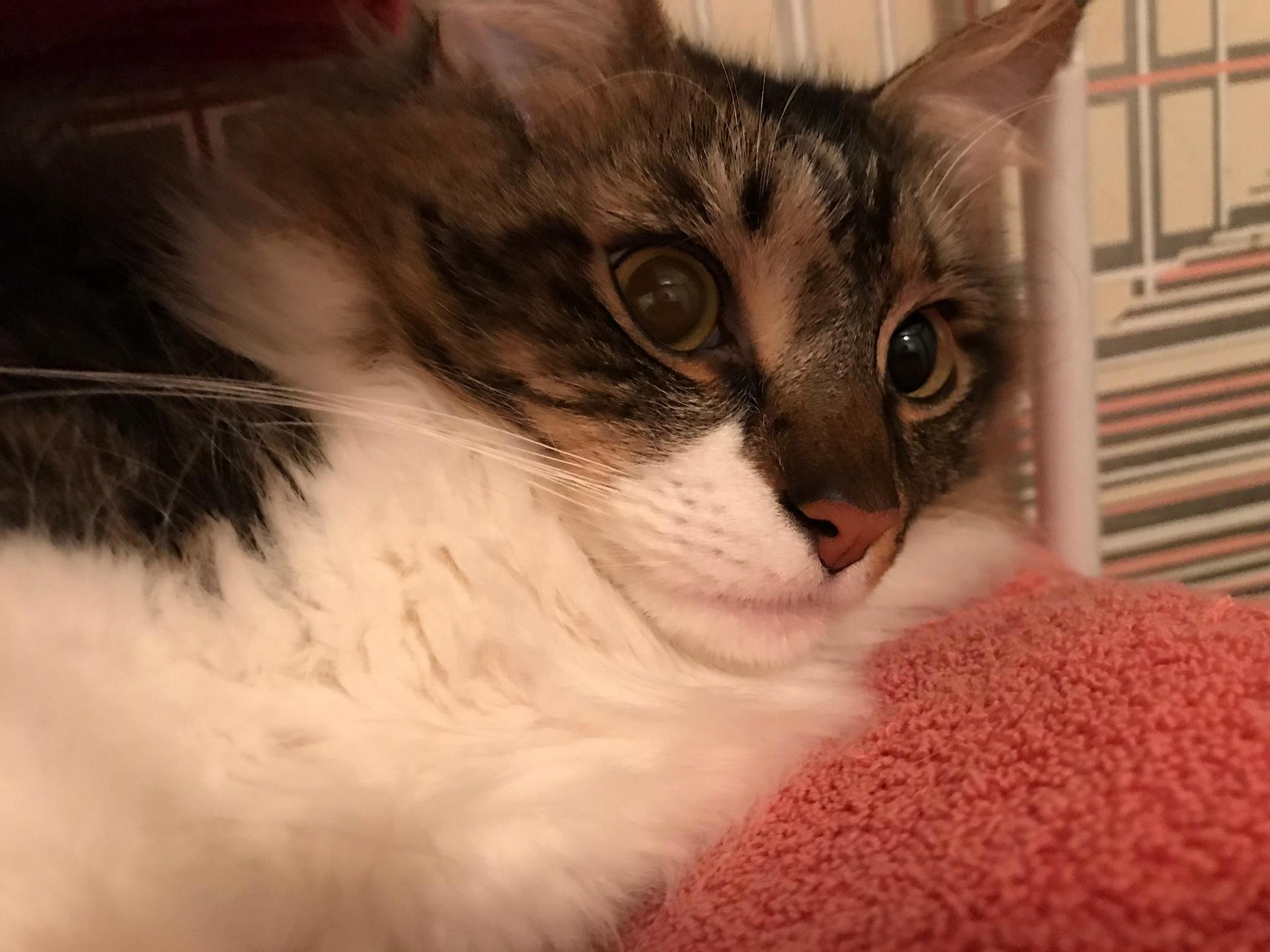 When the Fireworks Already Started...