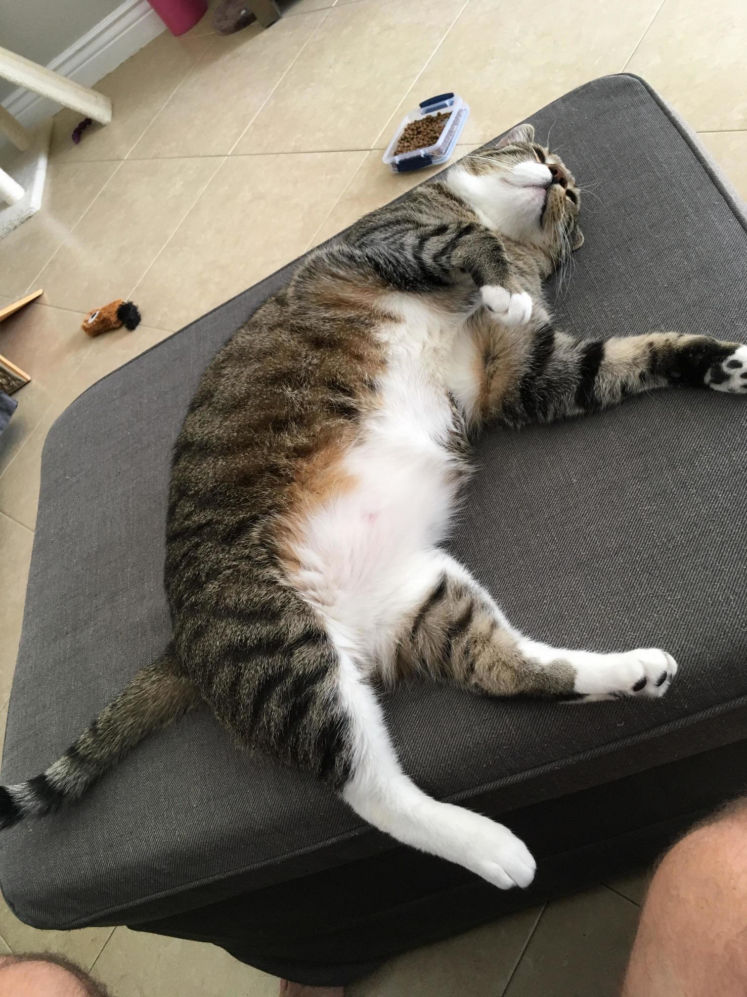 When the Whiskey Kicks in