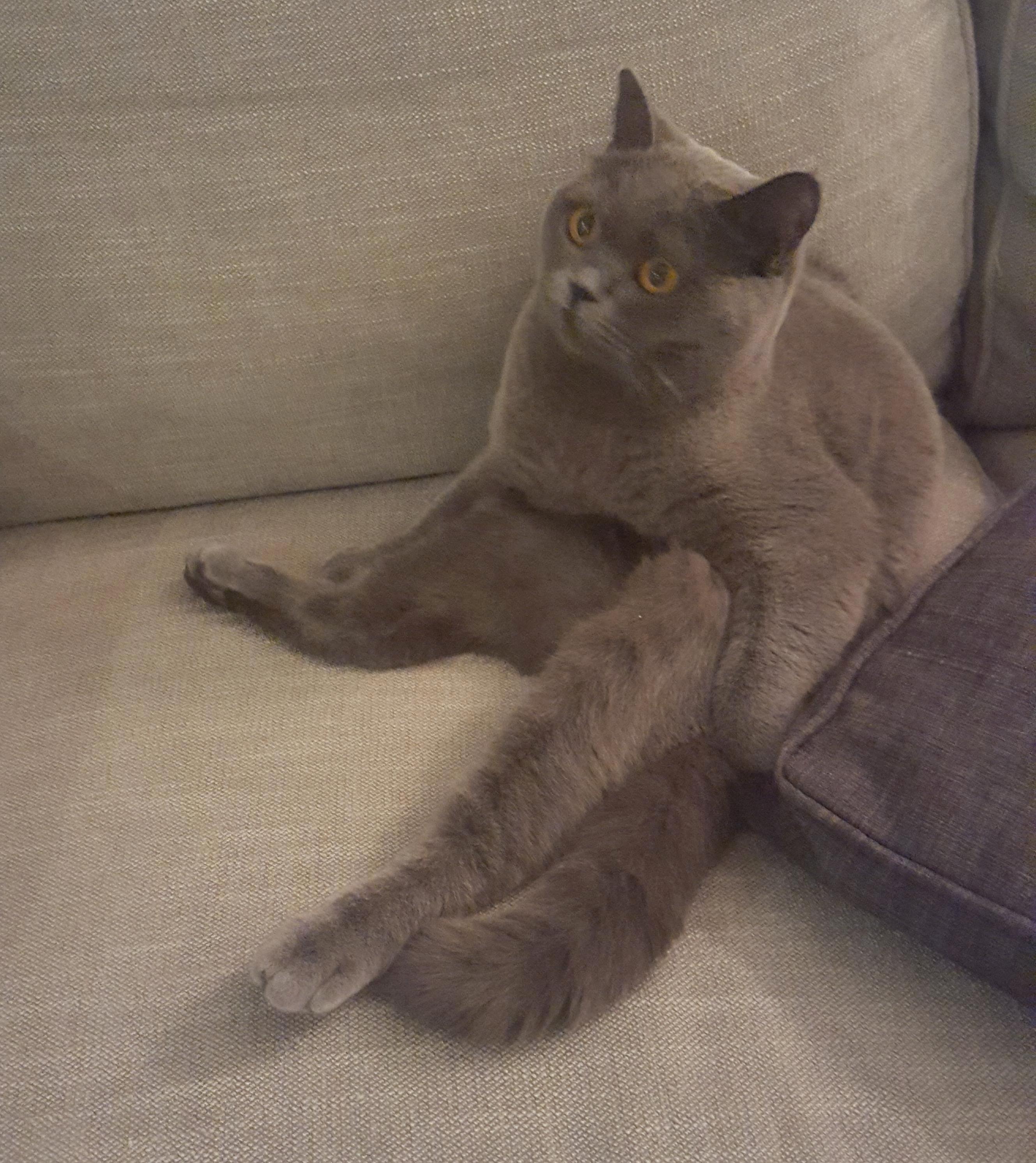 When You Forget How to Sit