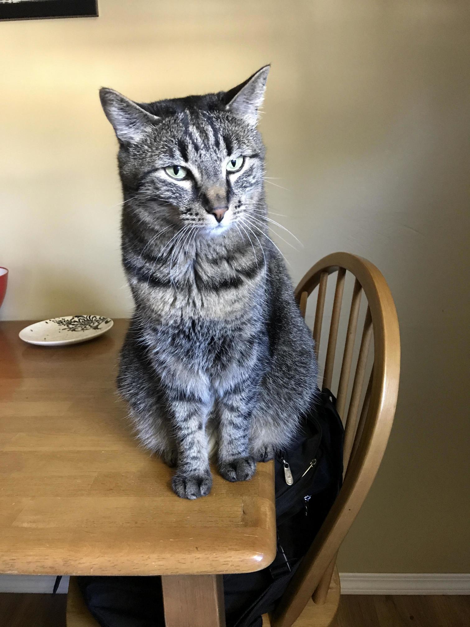 Whenever I Do the Dishes She Is Here Next to the Sink Watching Me