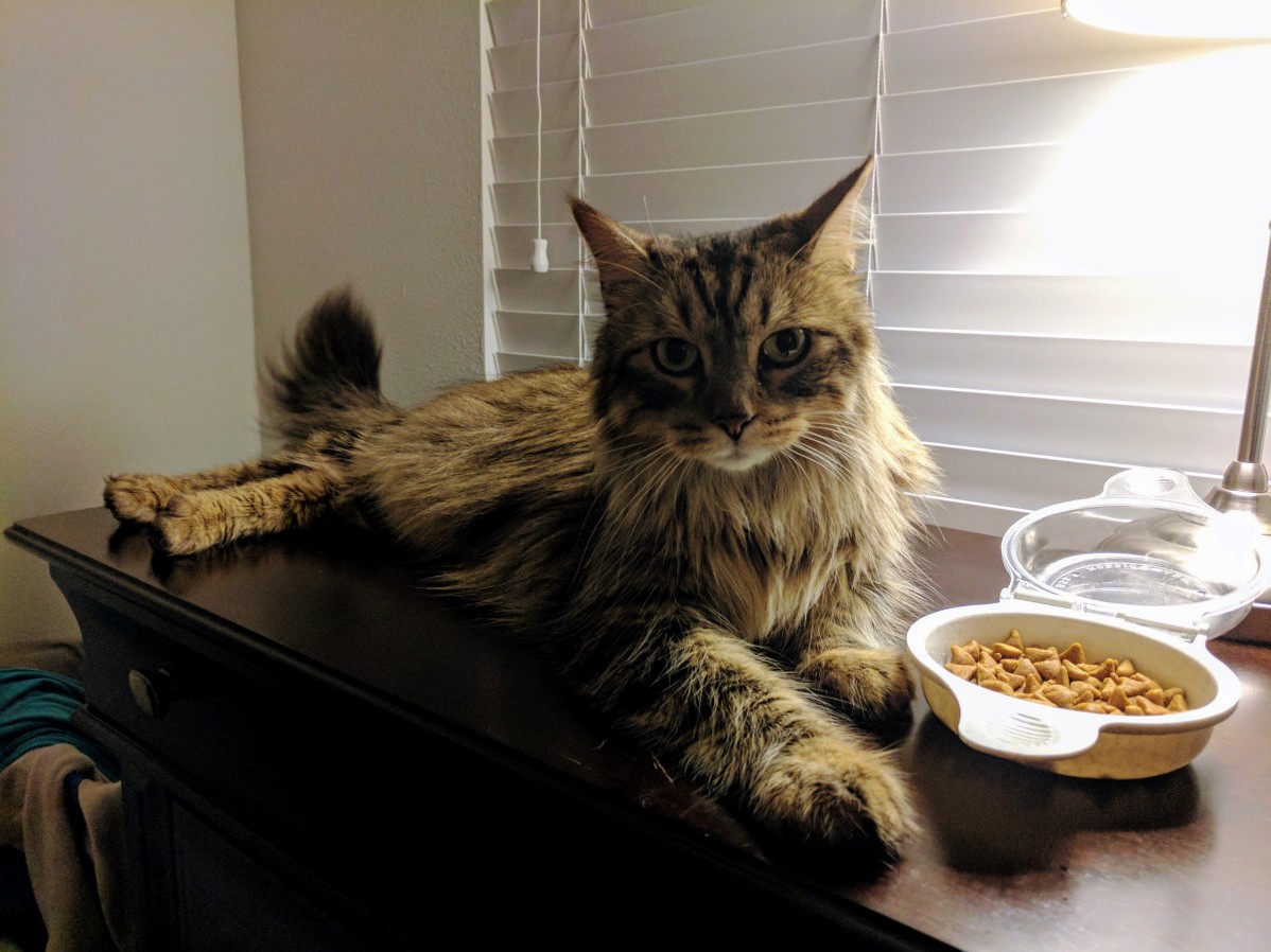 Where He Sits Every Night Before Bed.