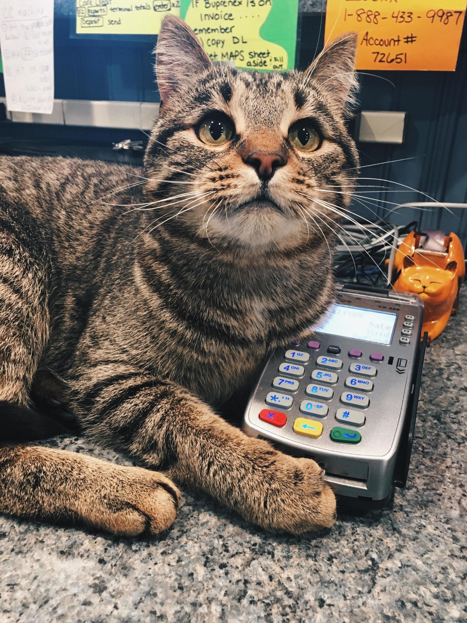 Will That Be Credit or Debit Today