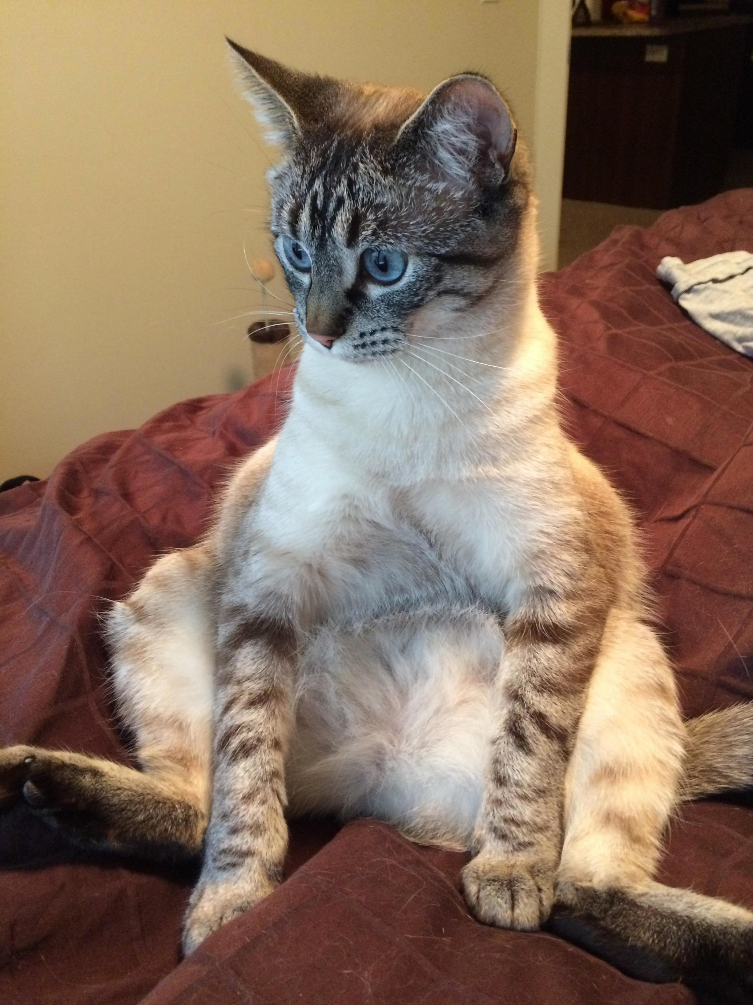 Winnie Relaxing