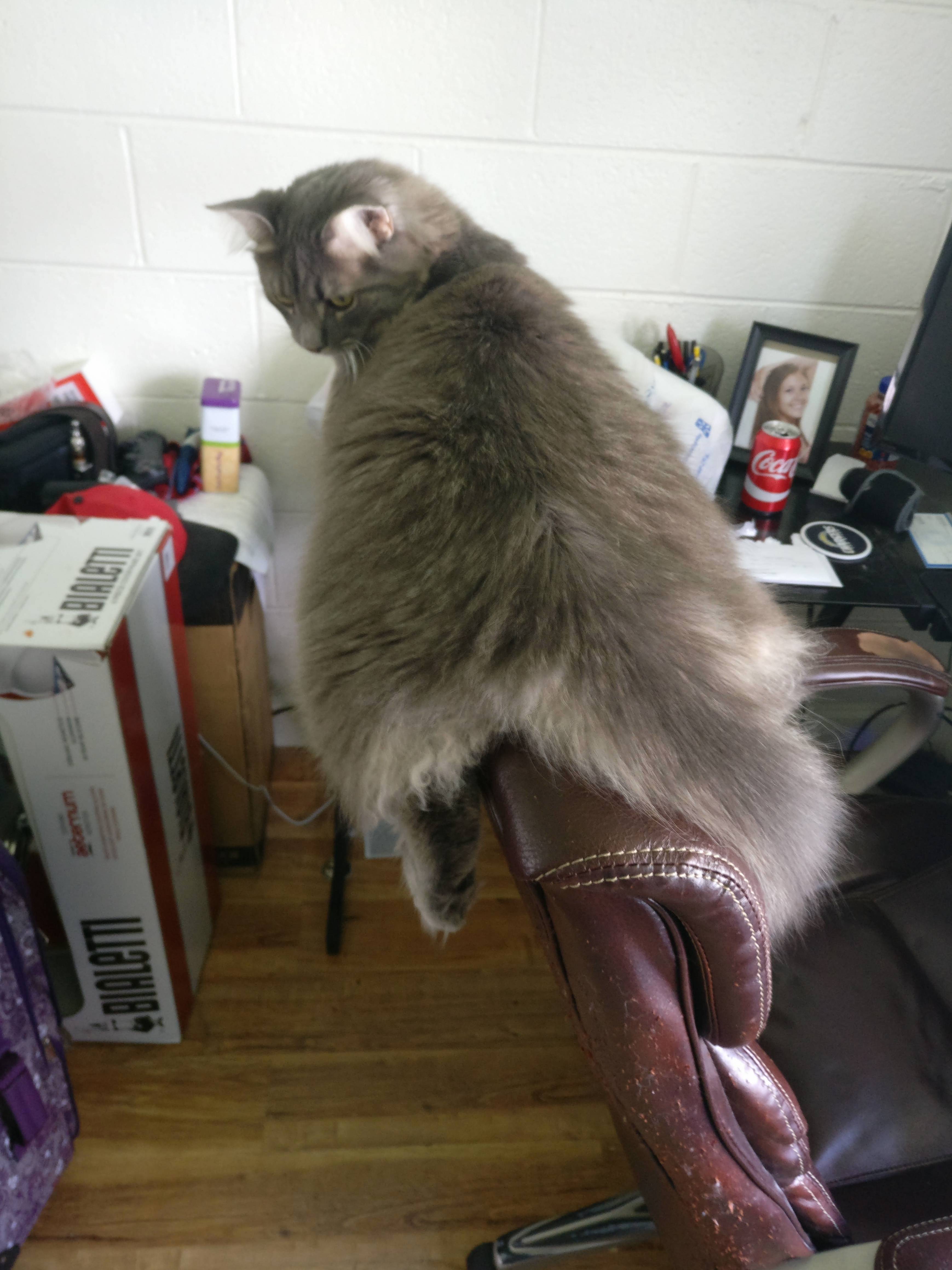 Winston Is Lookingt H I C C