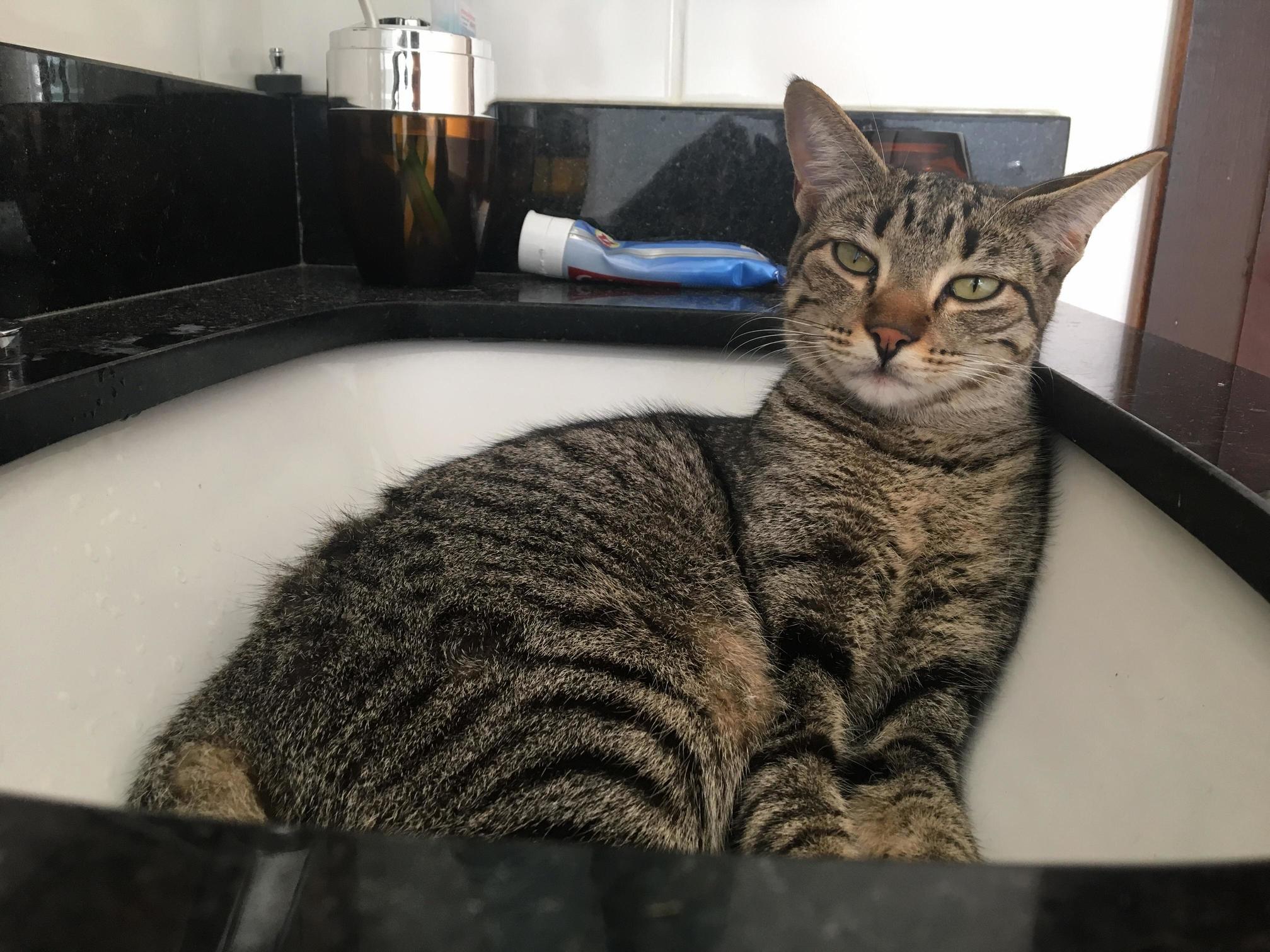 Yeah I Was Sleeping in the Sink. So What