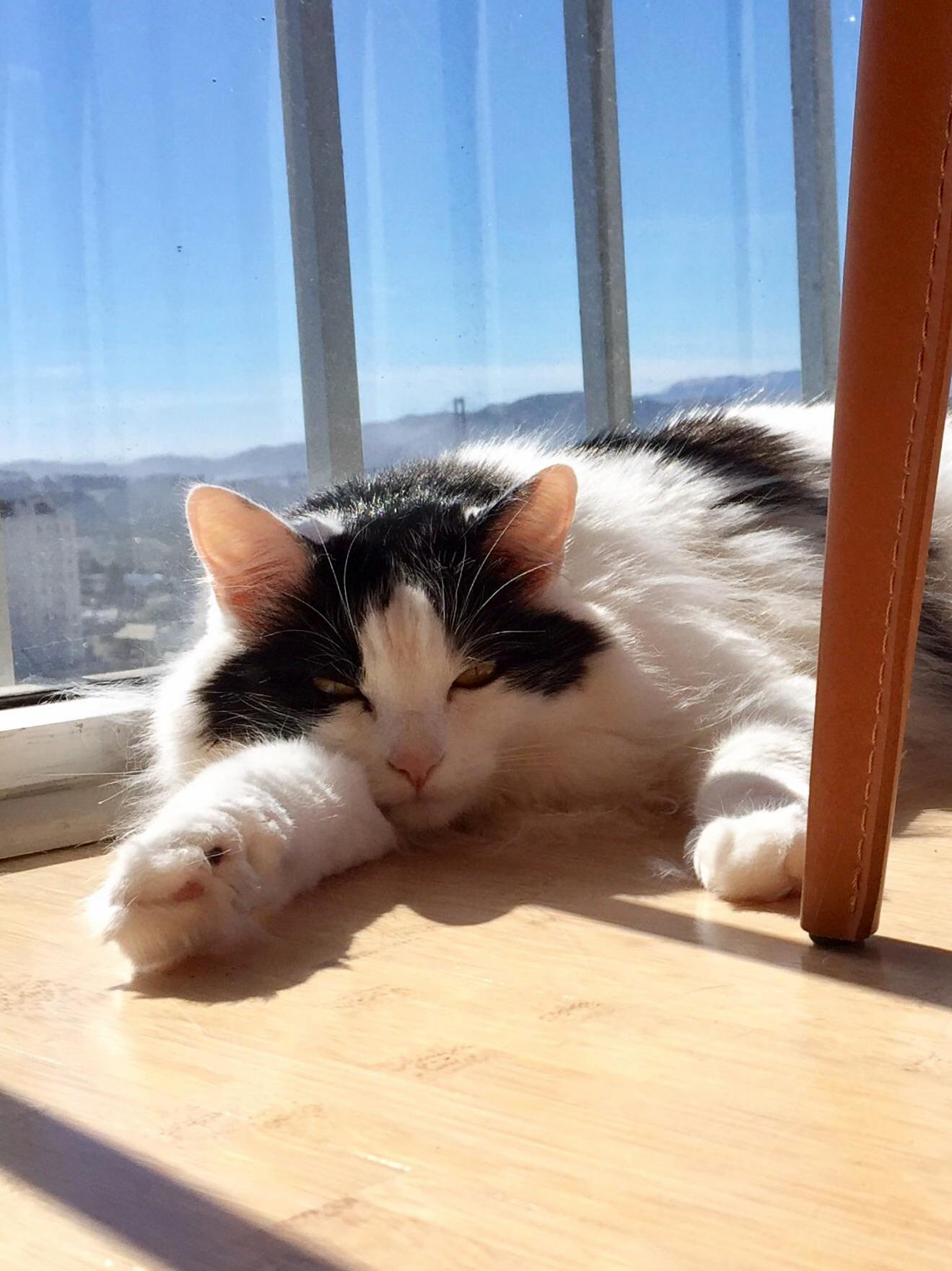 You Woke Me Up Human