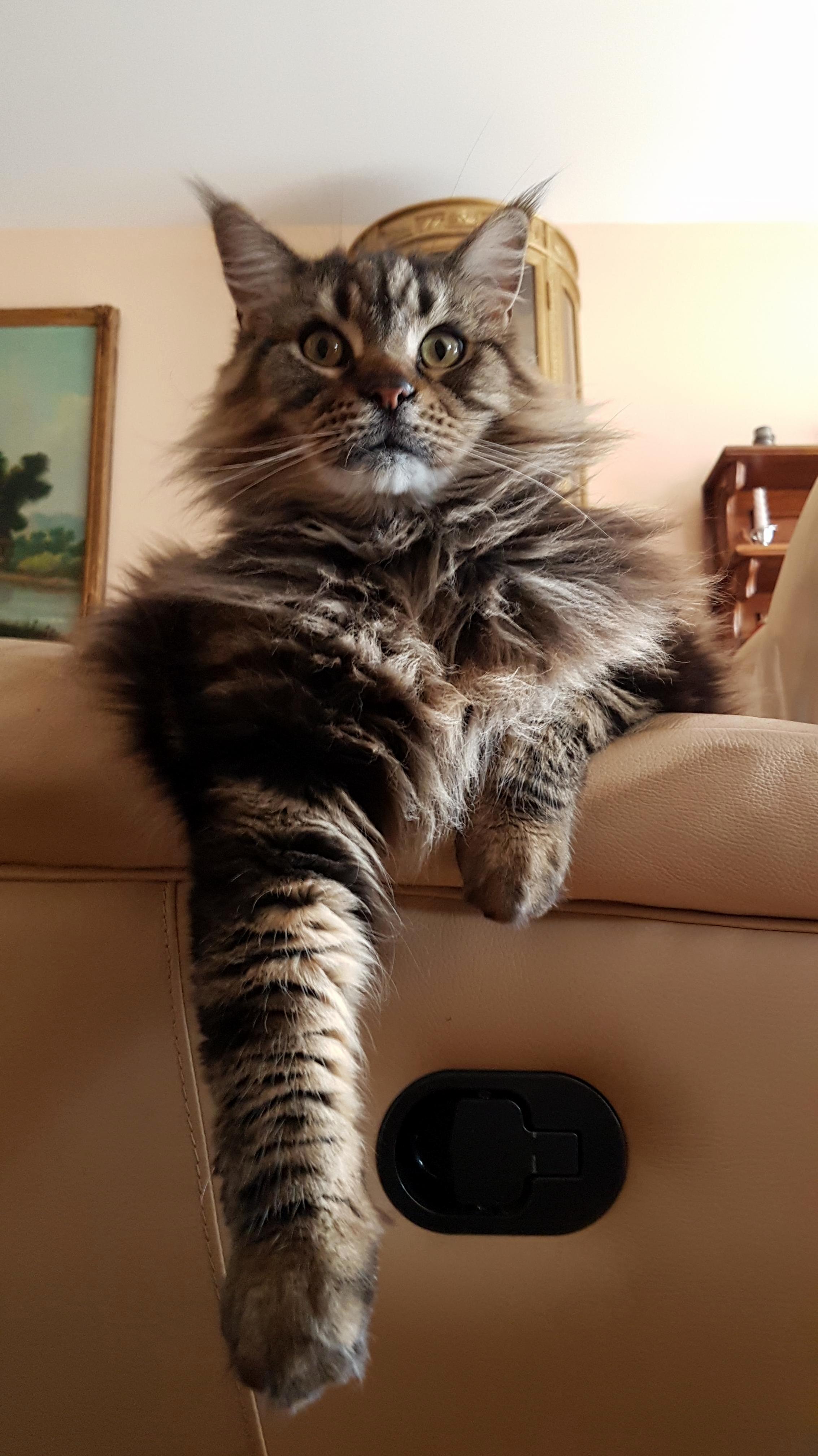 Your Lord Will See You Now.