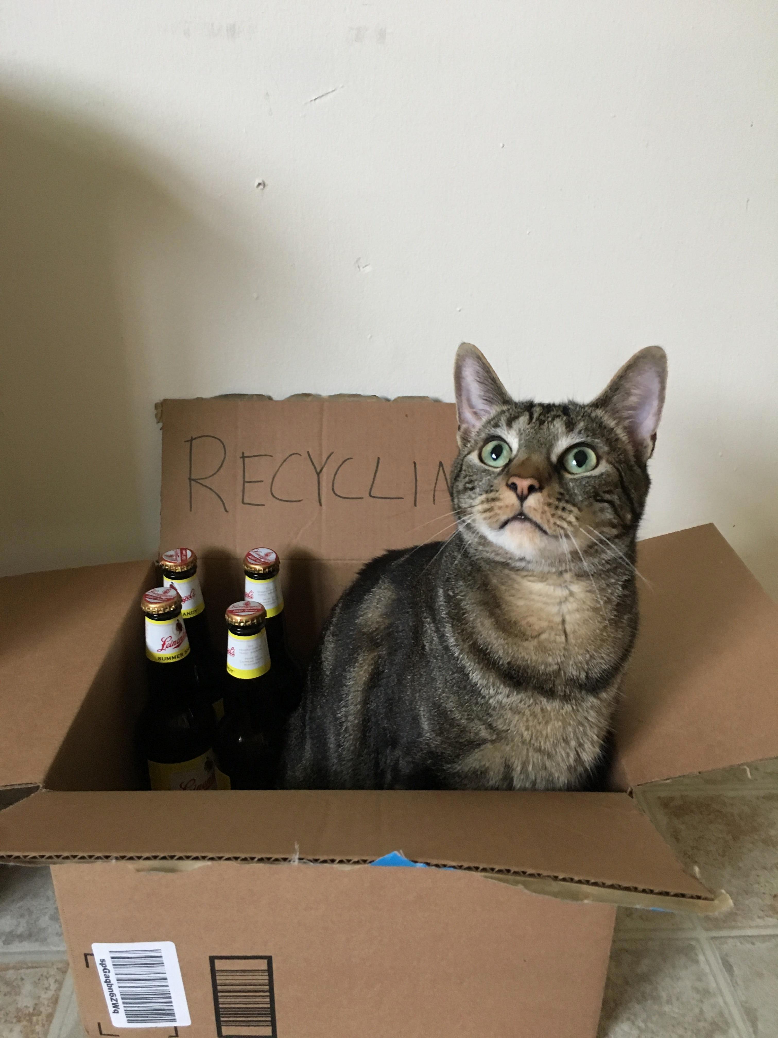 Zero Fucks Given.