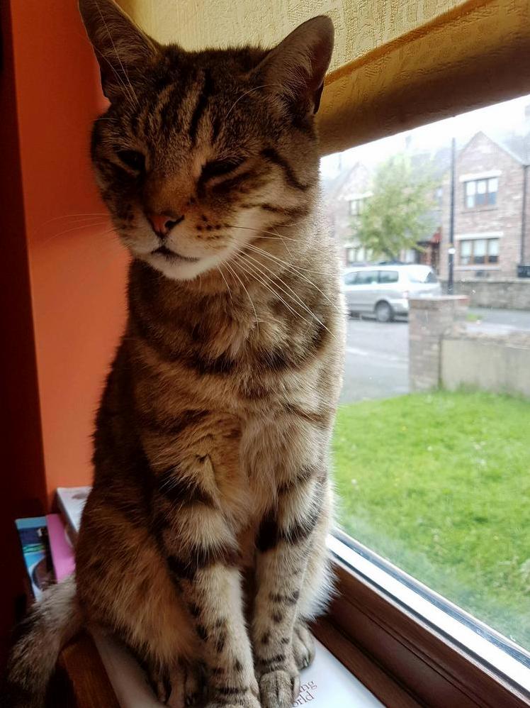 12 Years Old Today. Looking Good for His Age I Think
