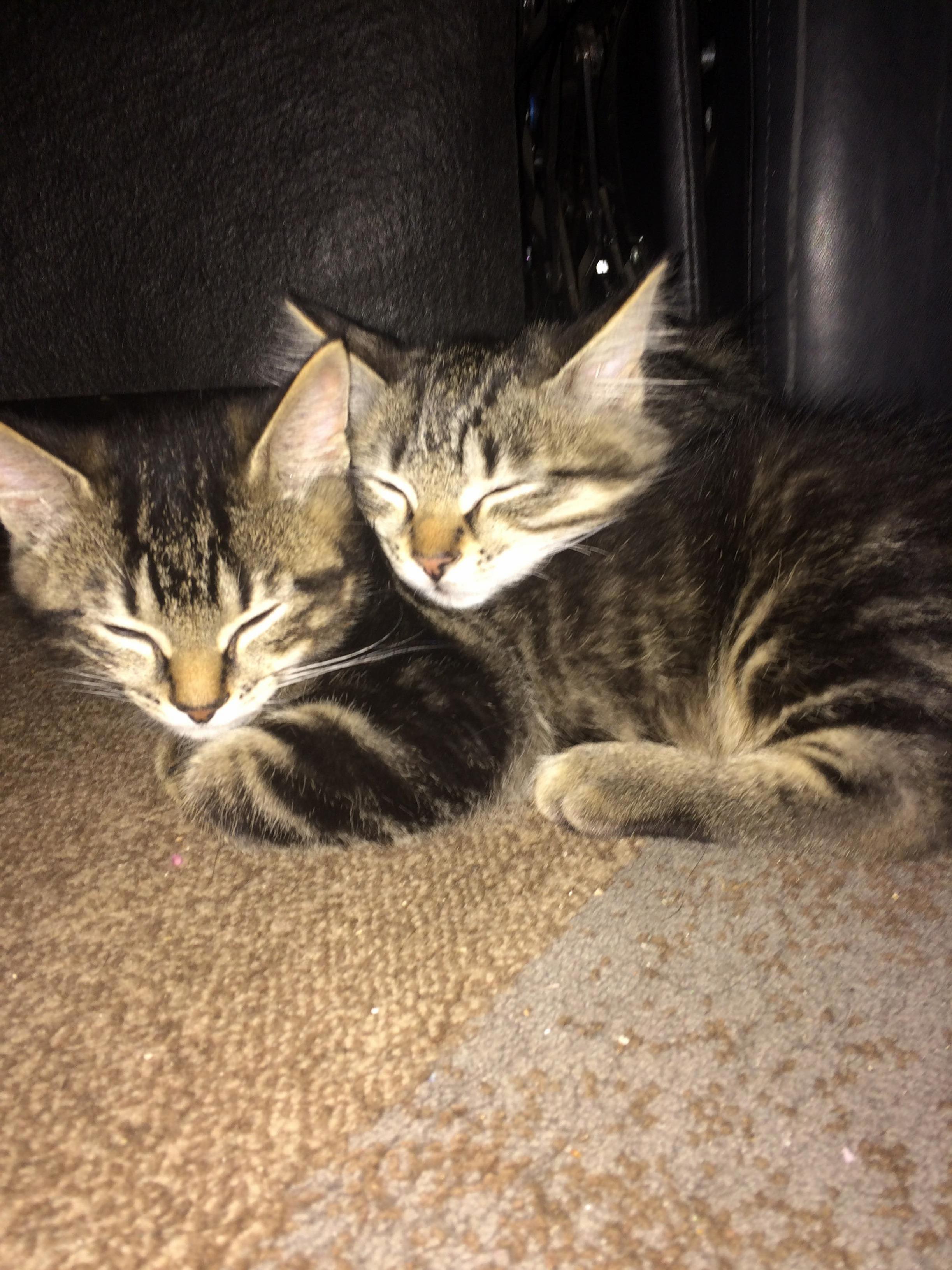 2 Cute
