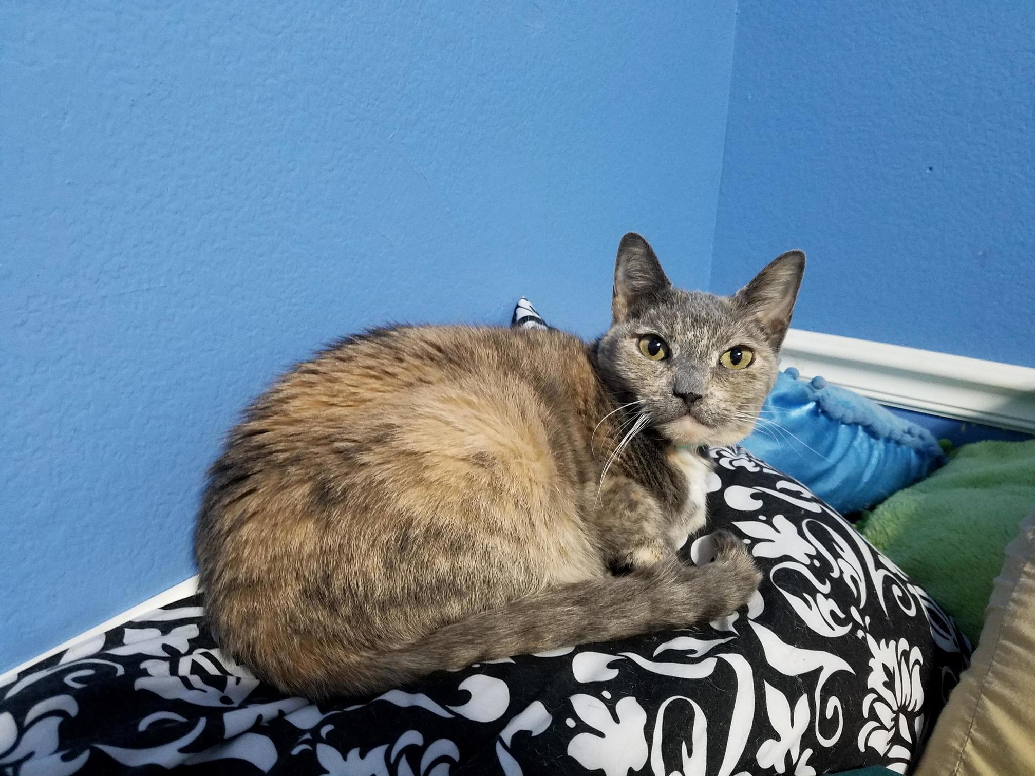 A Little More Cranky in Her Age but Still As Lovely As Ever.