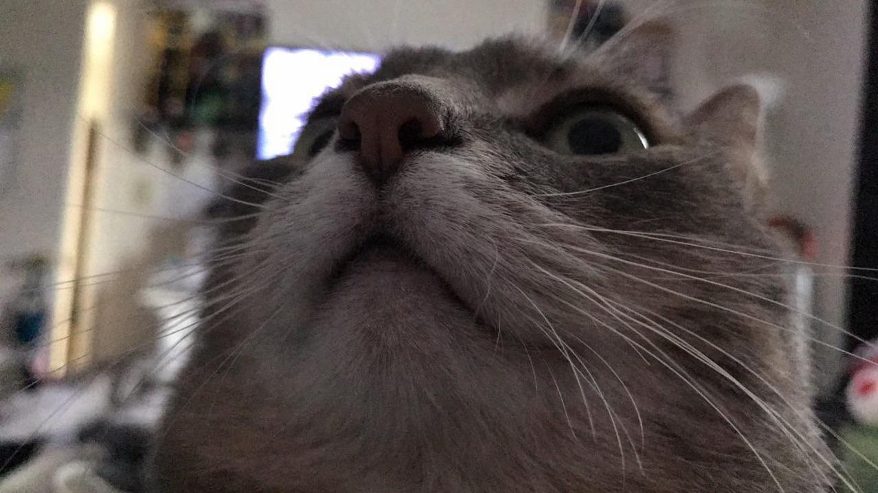 About As Photogenic As It Gets.