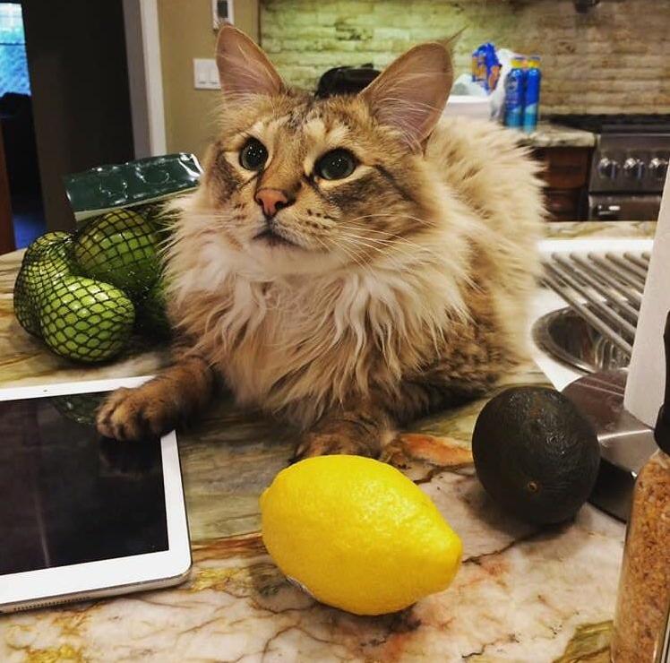 Always Has to Be in the Middle of Everything