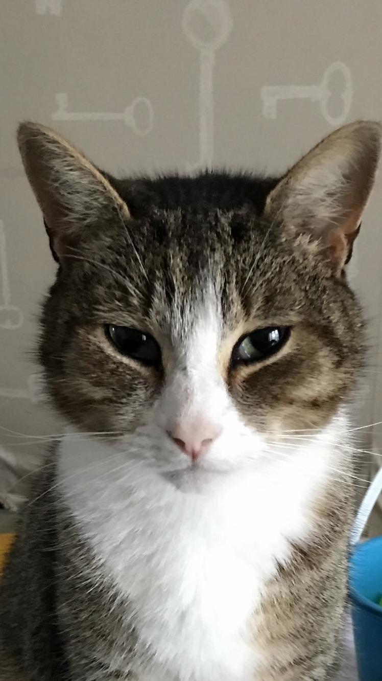 Always Silently Judging Me.