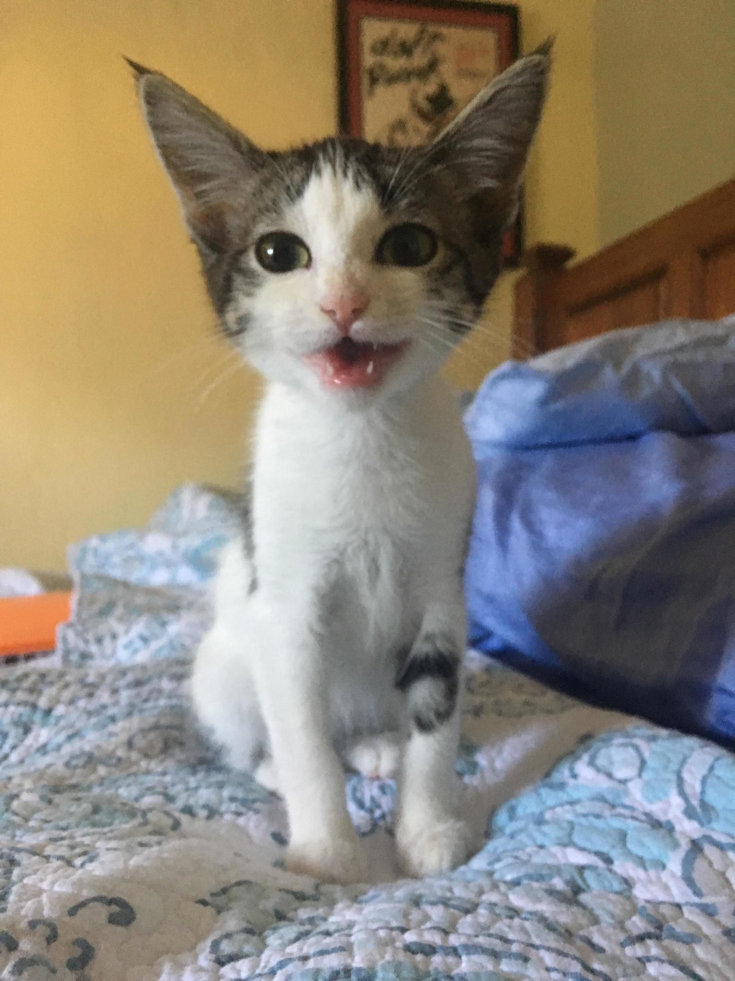 An Update on Paul Hes Fattening Up and Is Happy