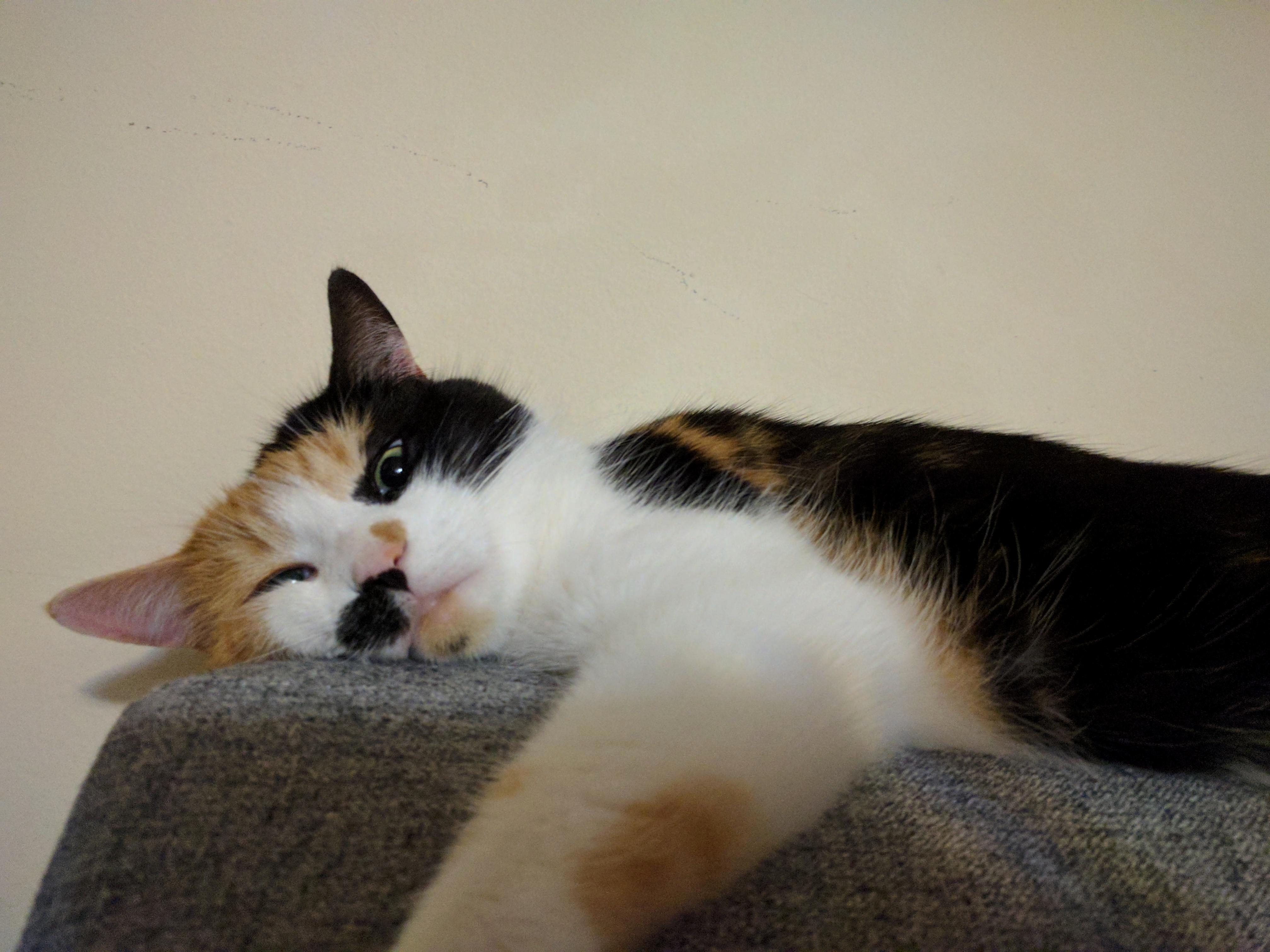 Bea Derping Out