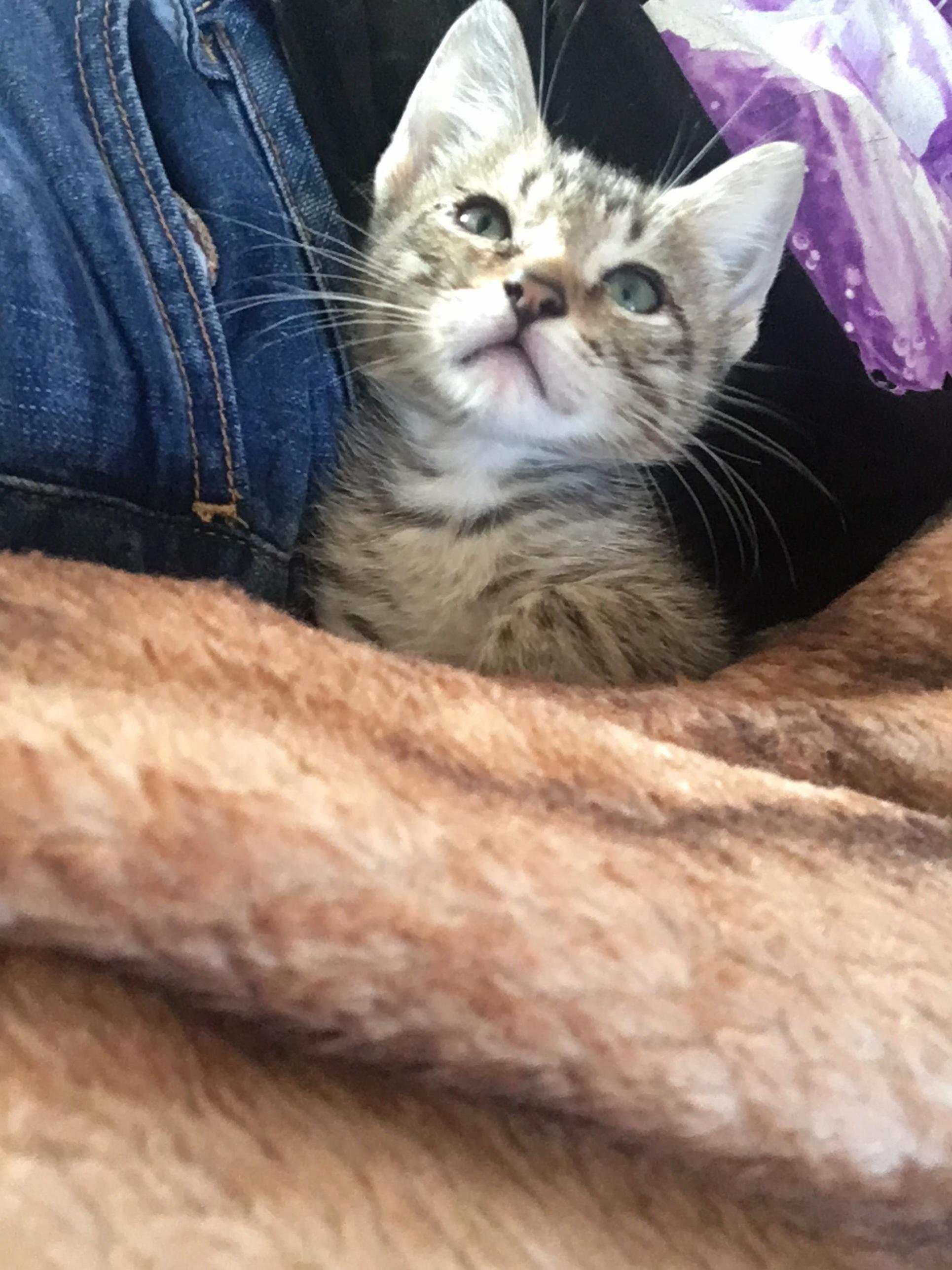 Behold the Most Handsome Frodo. Fairly New to This World and a Bit of a Runt