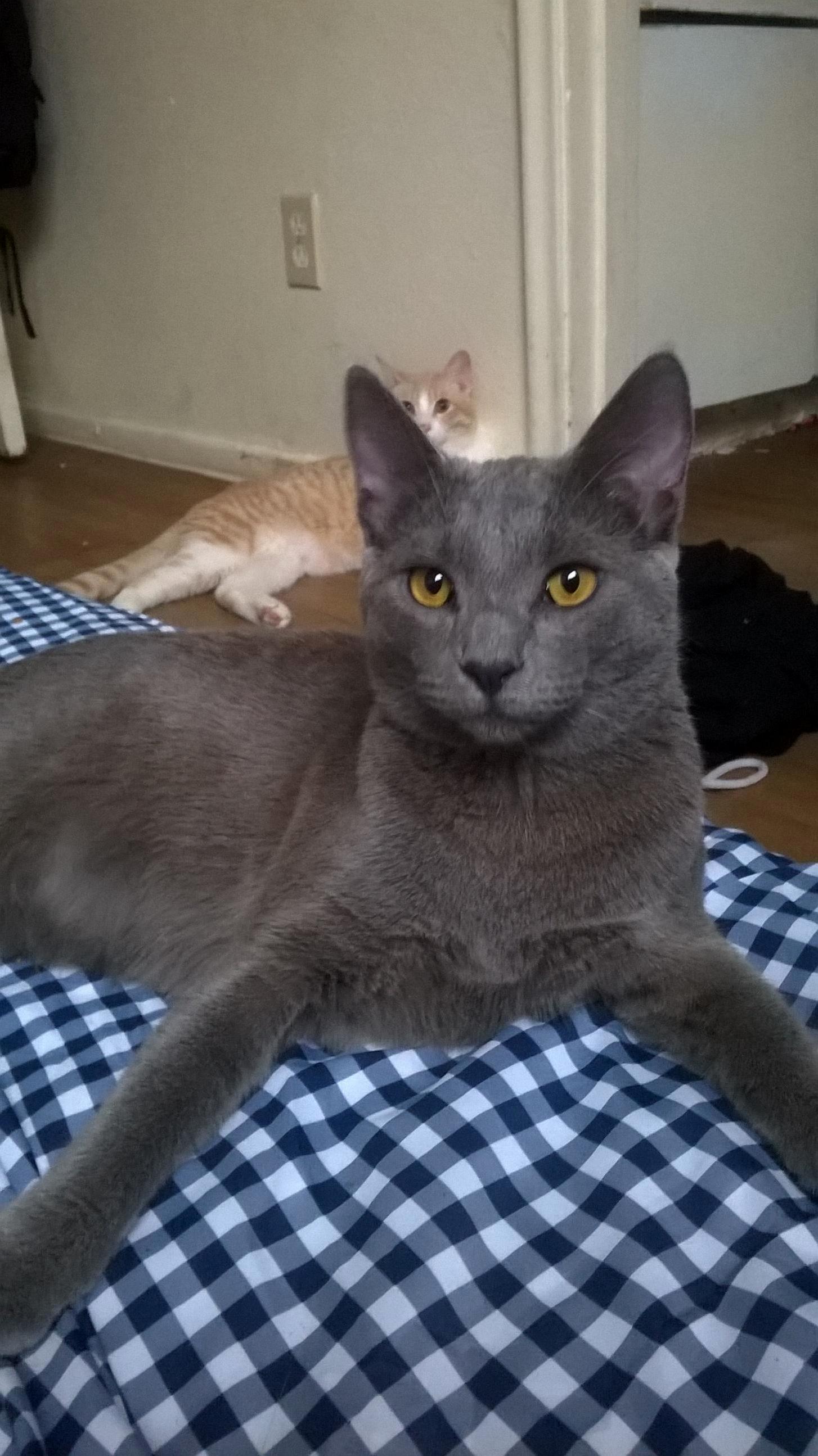 Bernies Photo Bomb