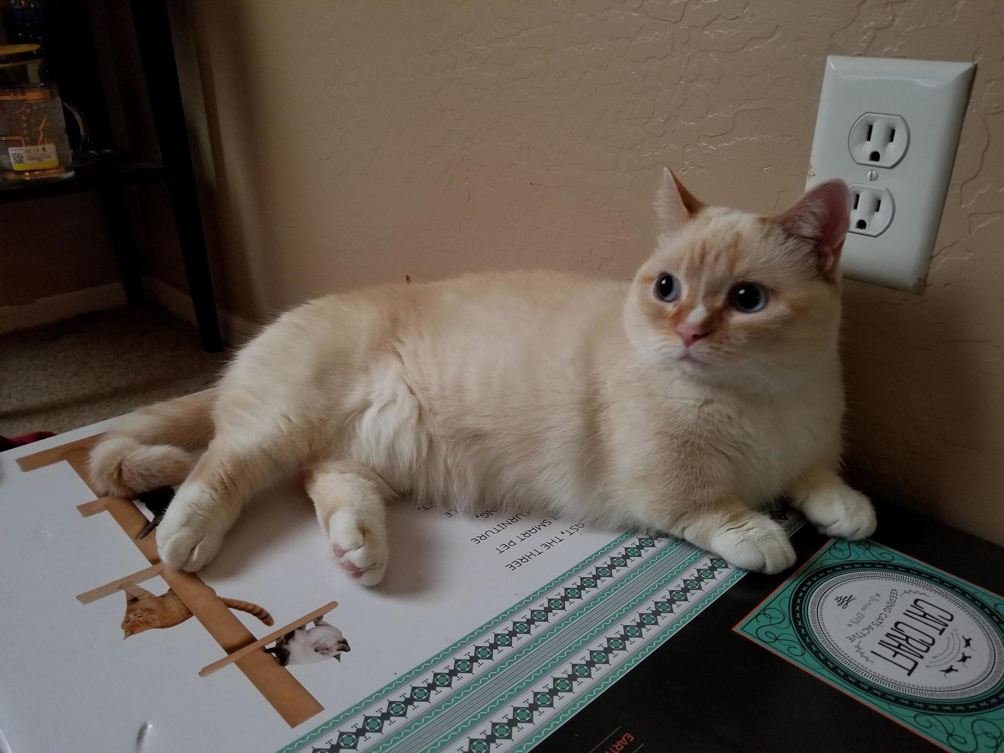 Boxes Are More Fun...