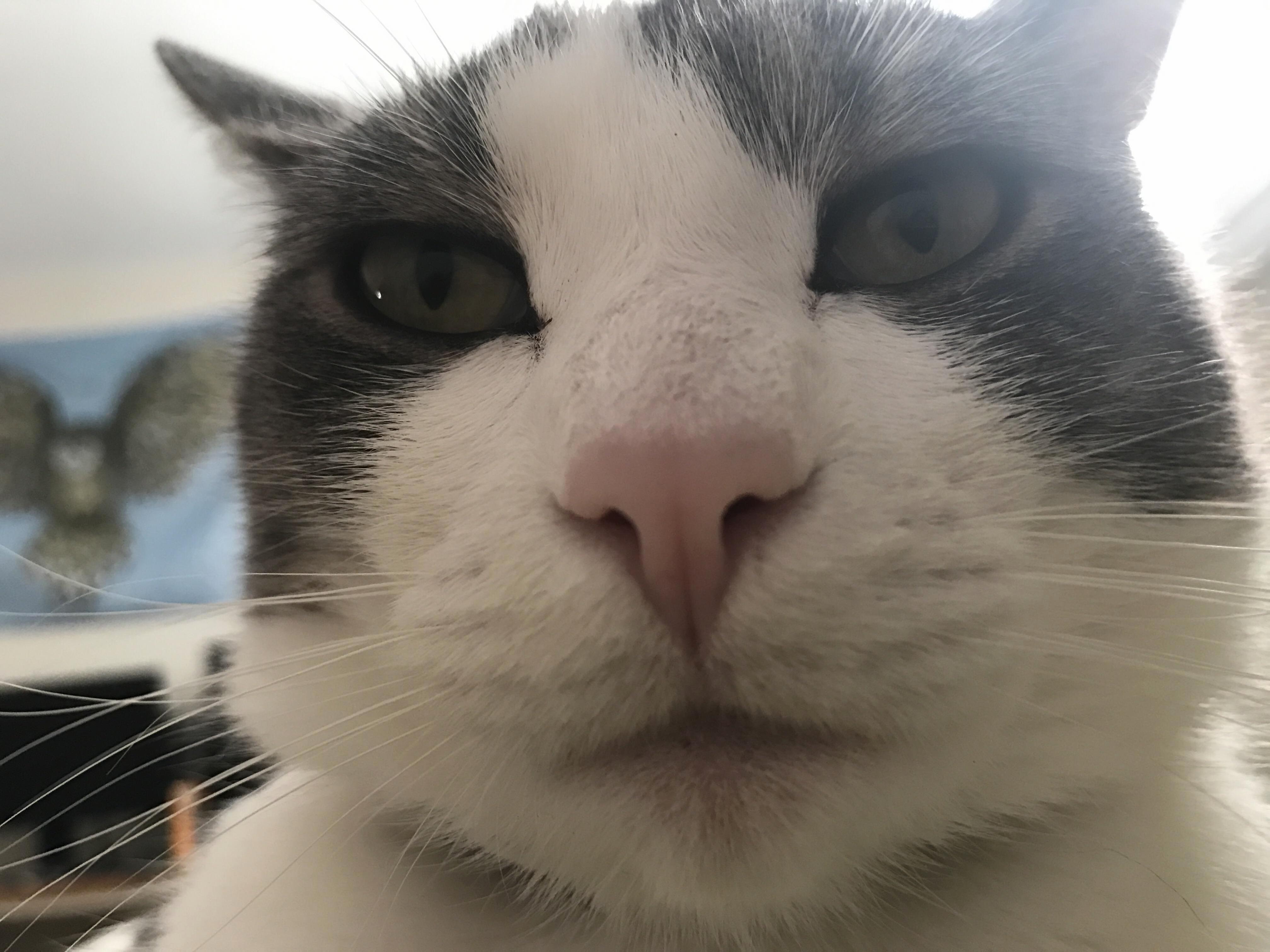 Bub. 42. Loves Nascar Beer Fishing and Smoking Marlboros.