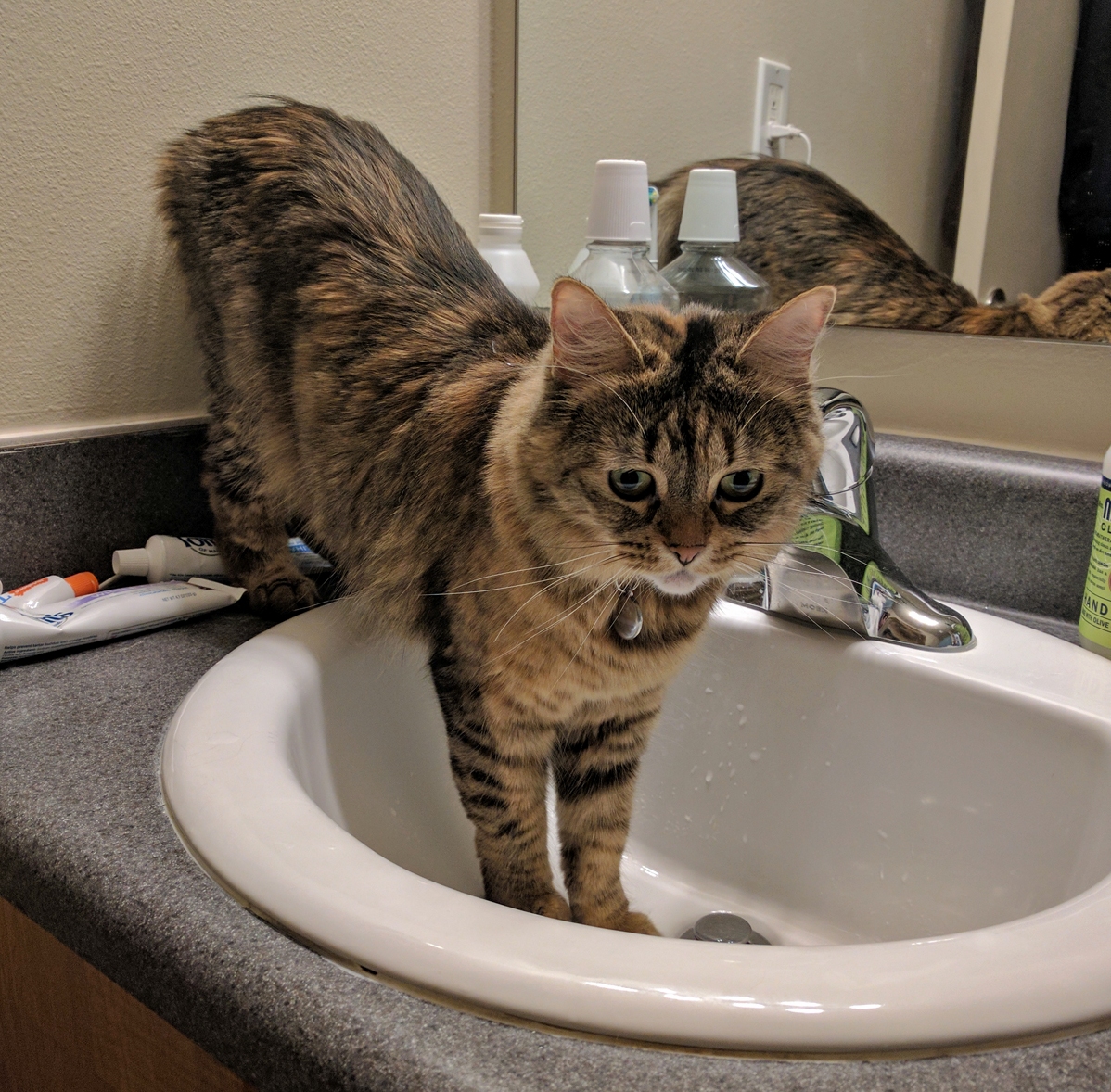 Catsink.exe Has Stopped Working