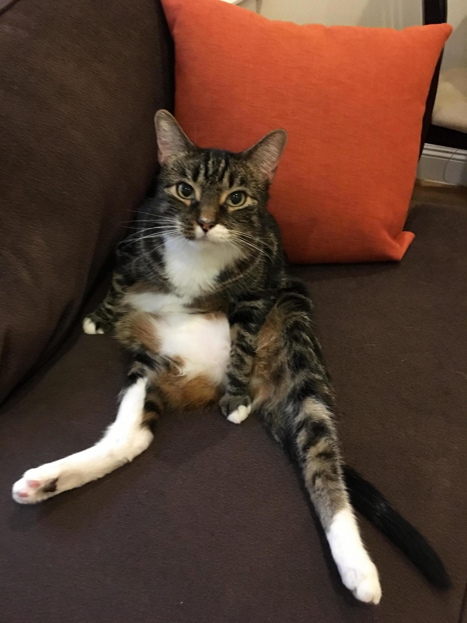 Caught Amos in This Pose.