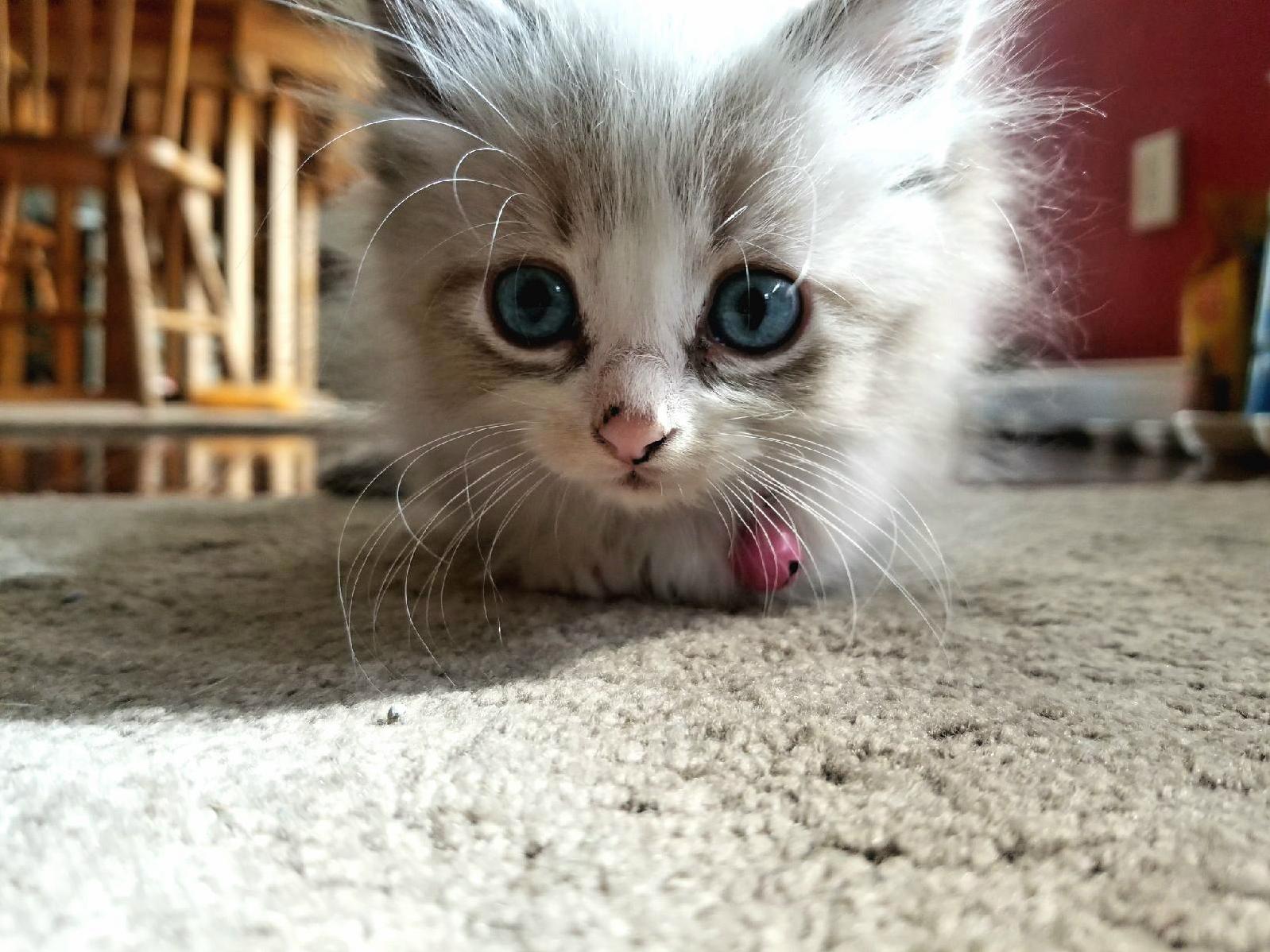 Charlie the Stray Cloud Readying for Attack.