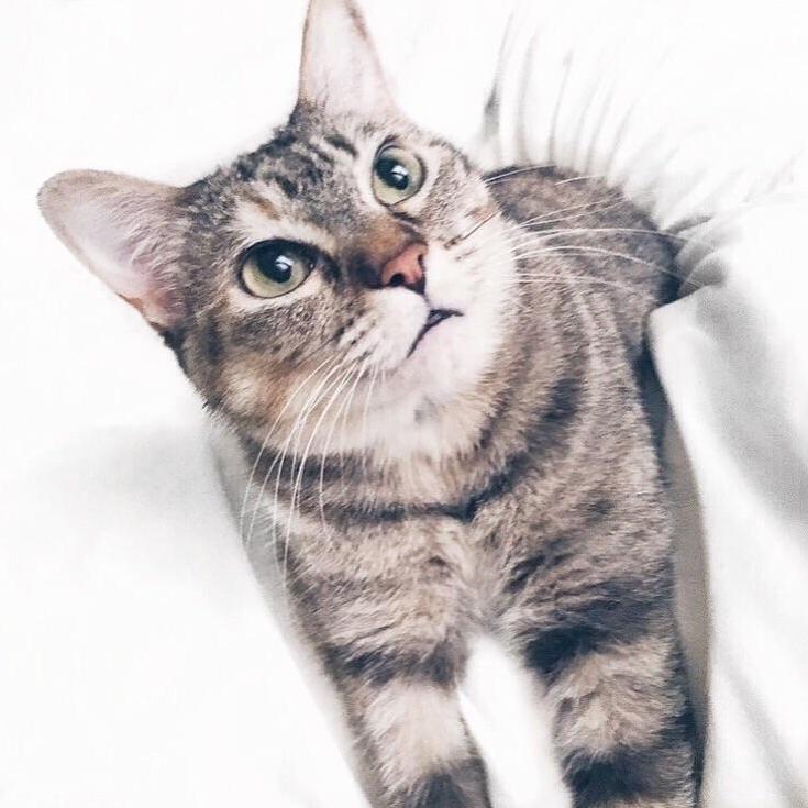 Chloe Being Adorable