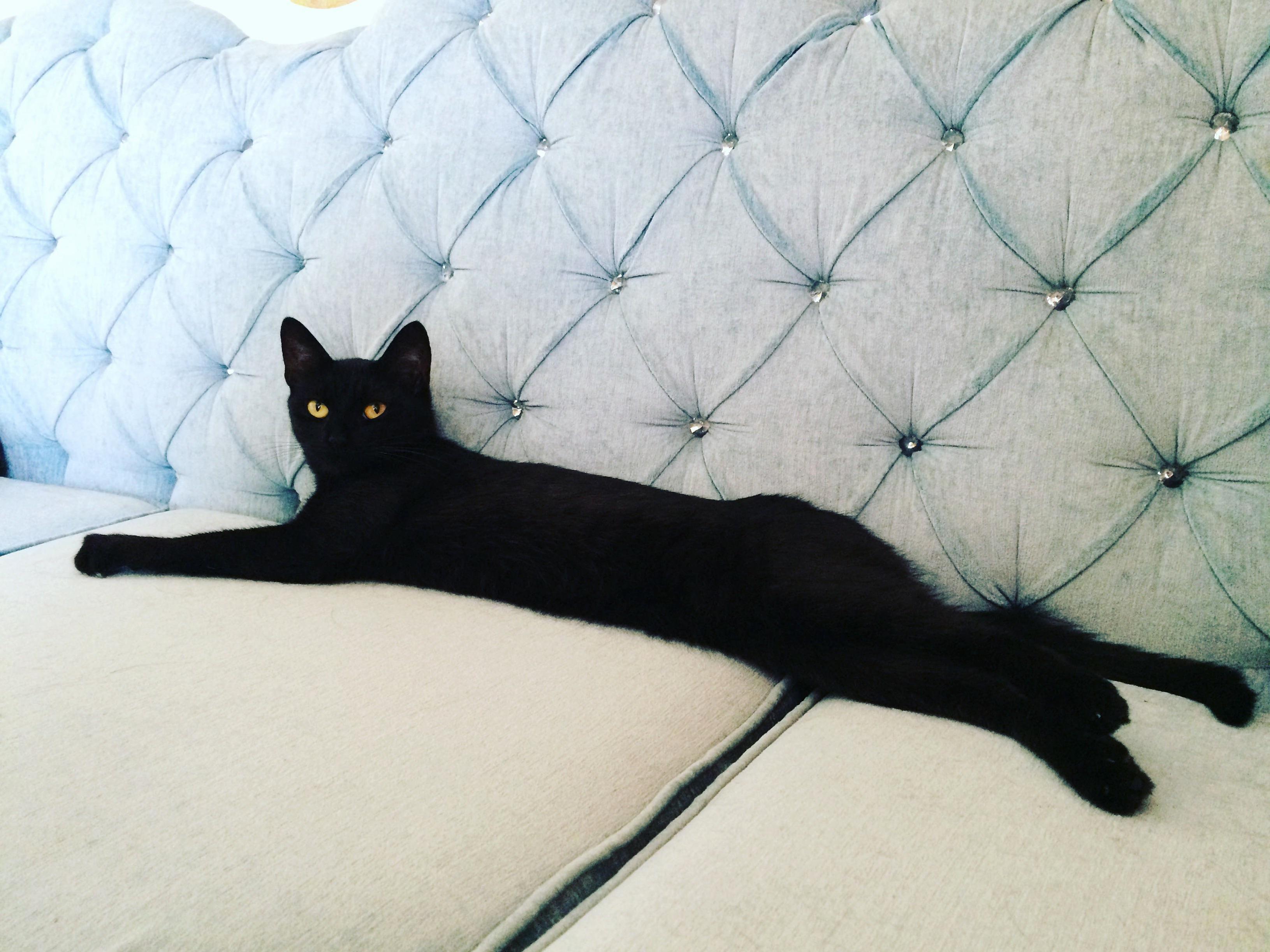Draw Me Like One of Your French Girl