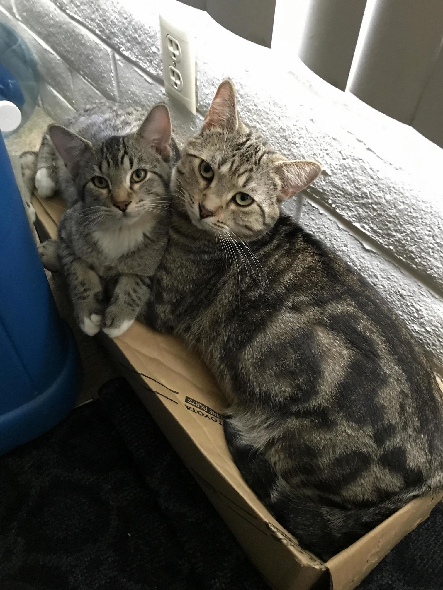Father and Son.