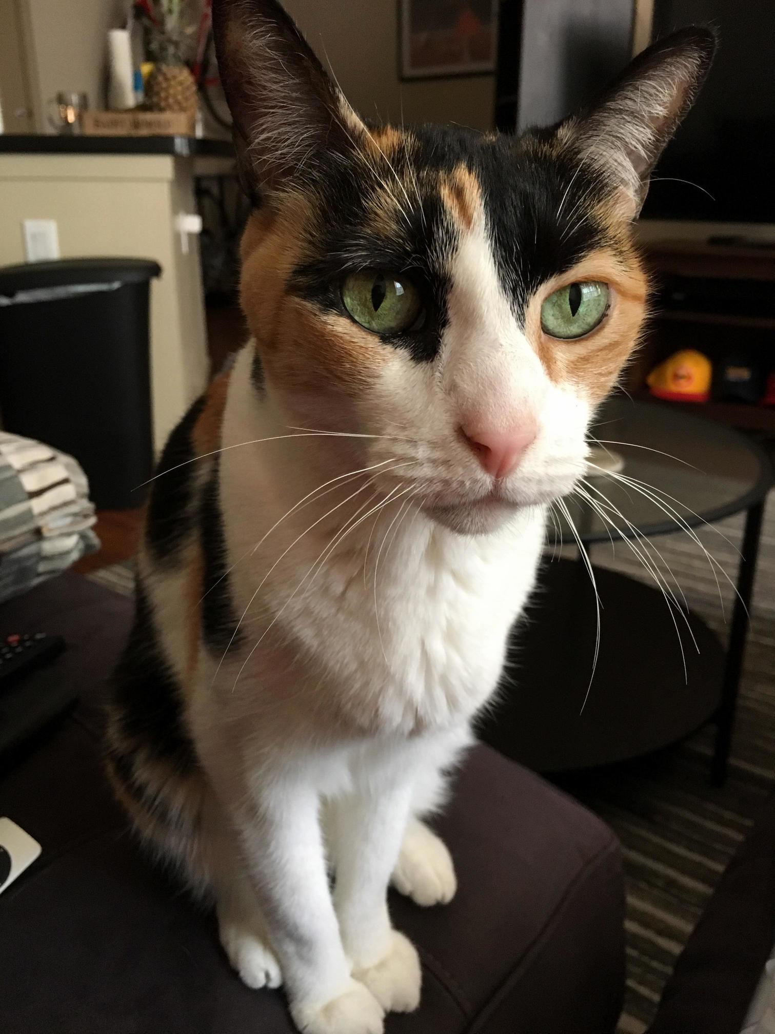 Hard to Believe Ophelia Is 13 Years Old
