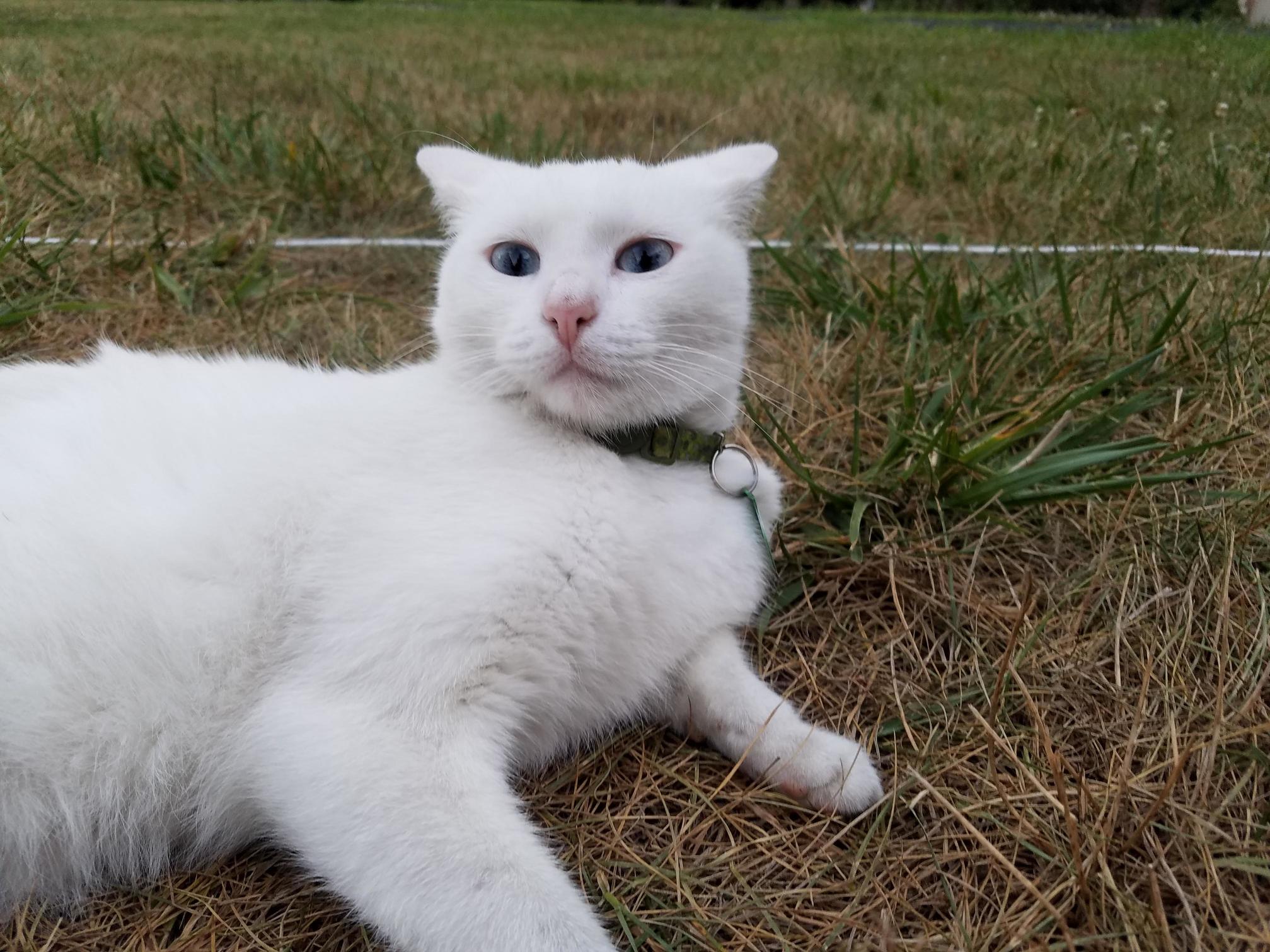 He Isnt Very Photogenic