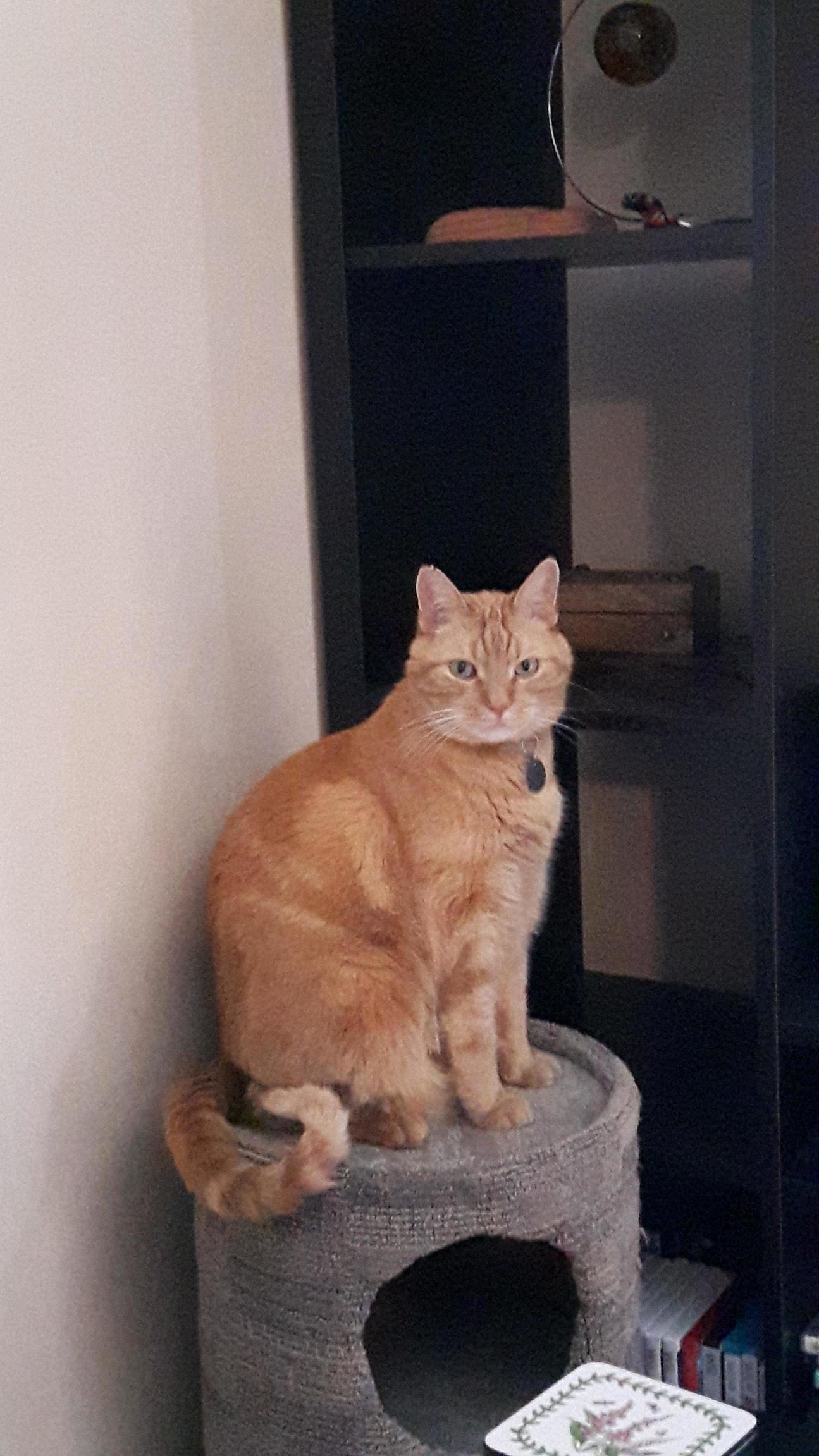 He Knows How Handsome He Is