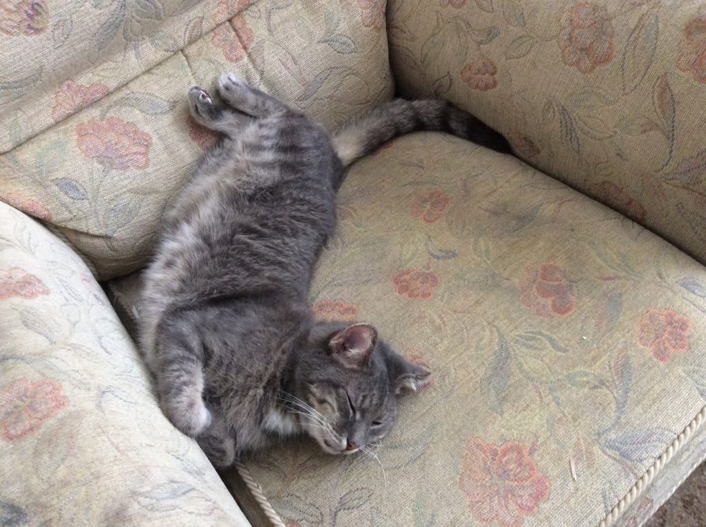 Her Normal Sleeping Position