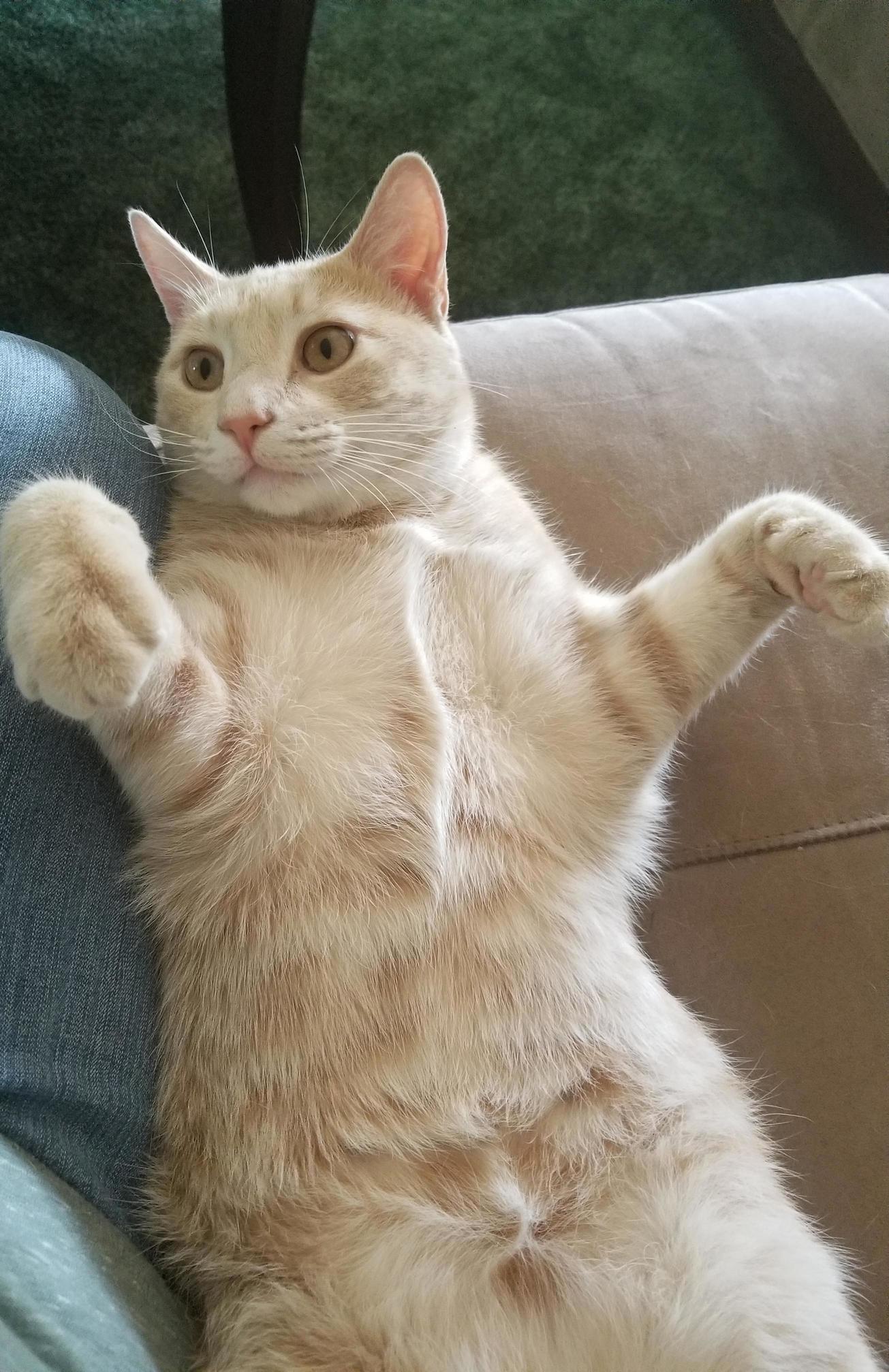 Hes Giving Out Free Hugs Any Takers
