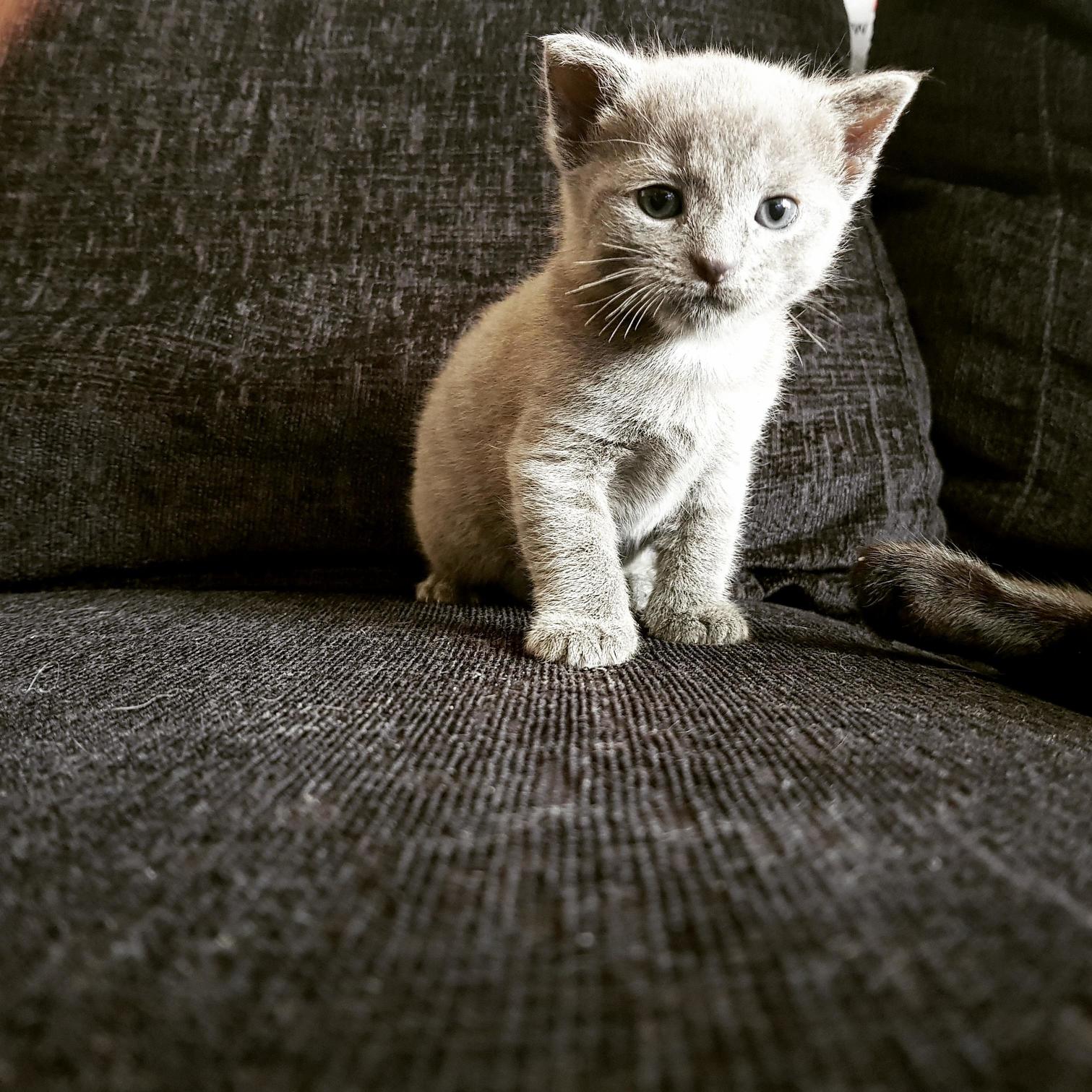 Hes Such a Handsome Chap