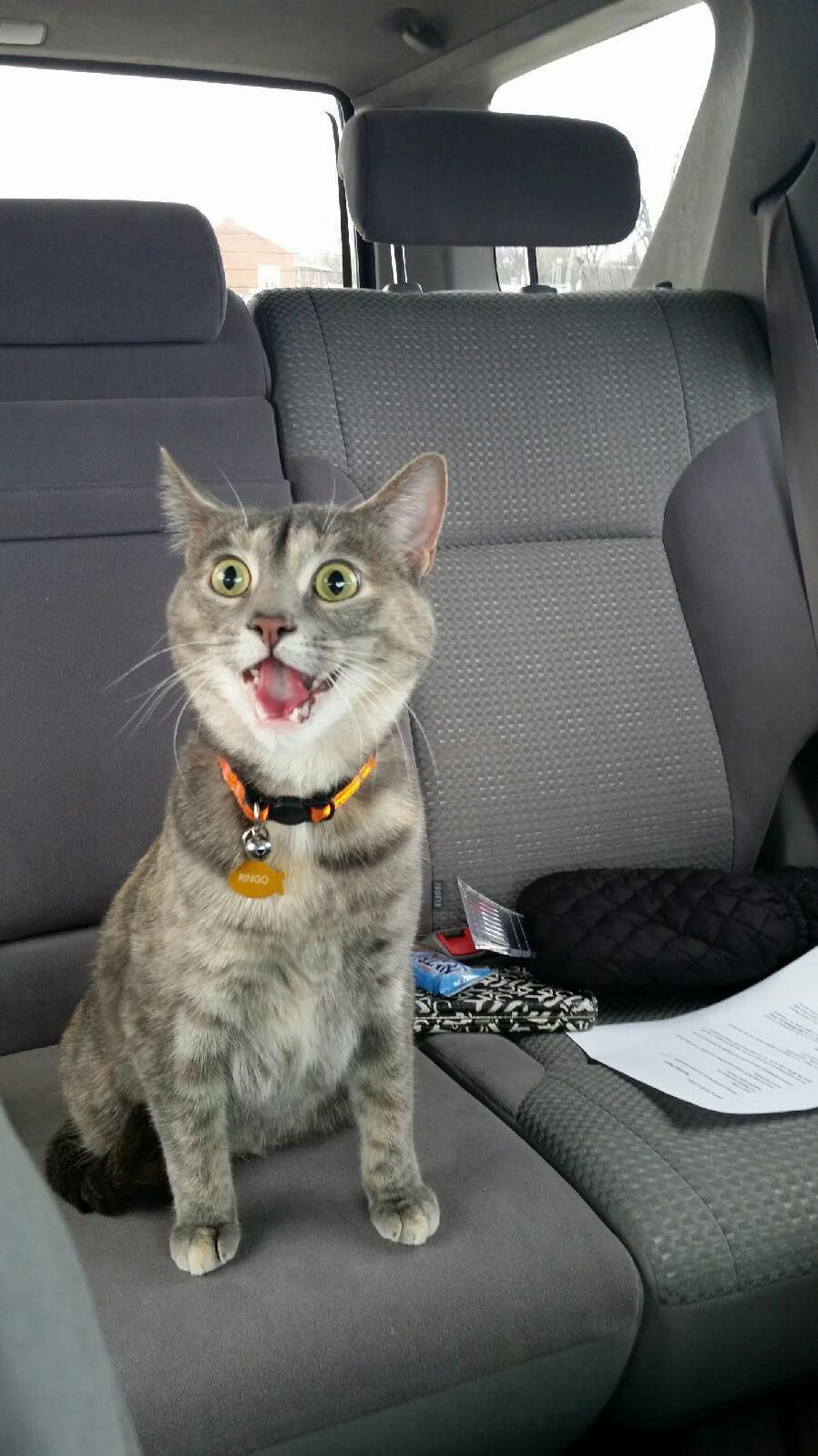 I Dont Think She Likes My Driving