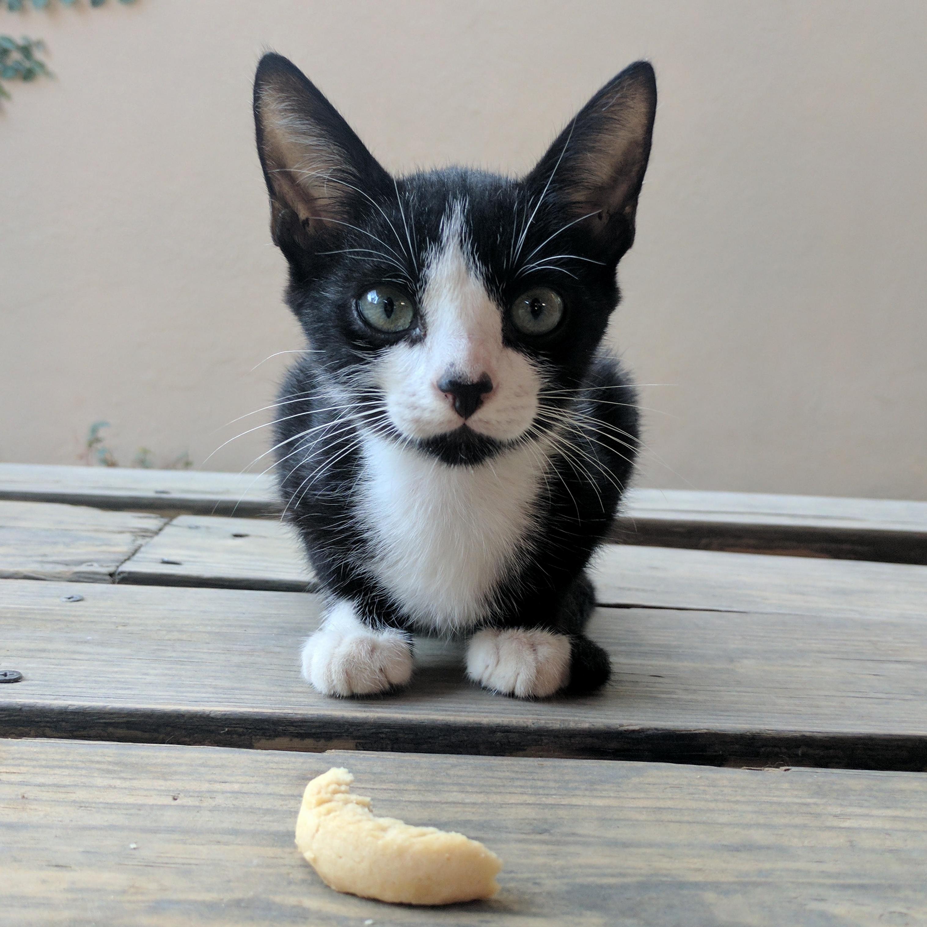 I Made a New Friend in Aruba