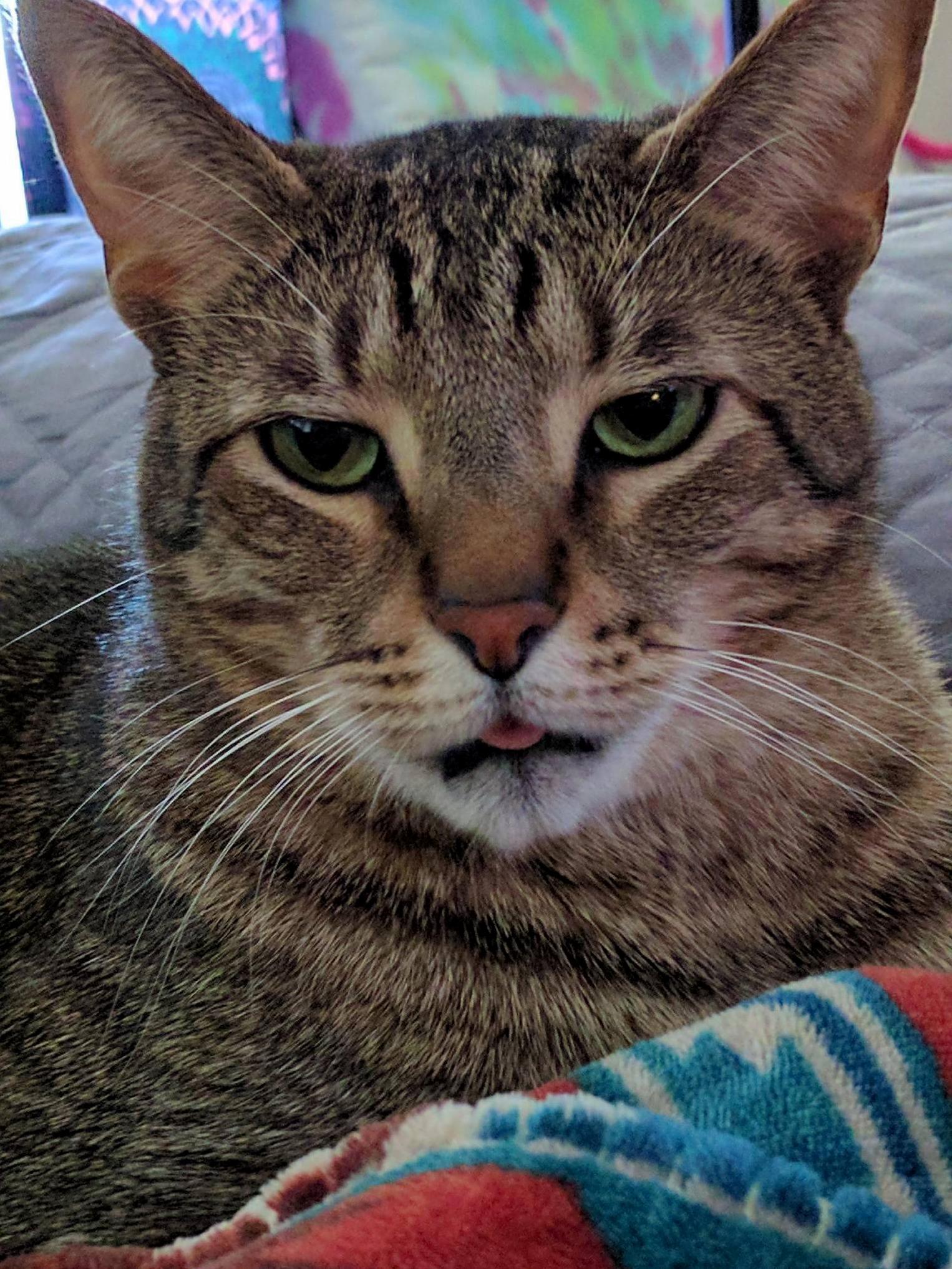 I Think Floyd Has Had Quite Enough of Me Today
