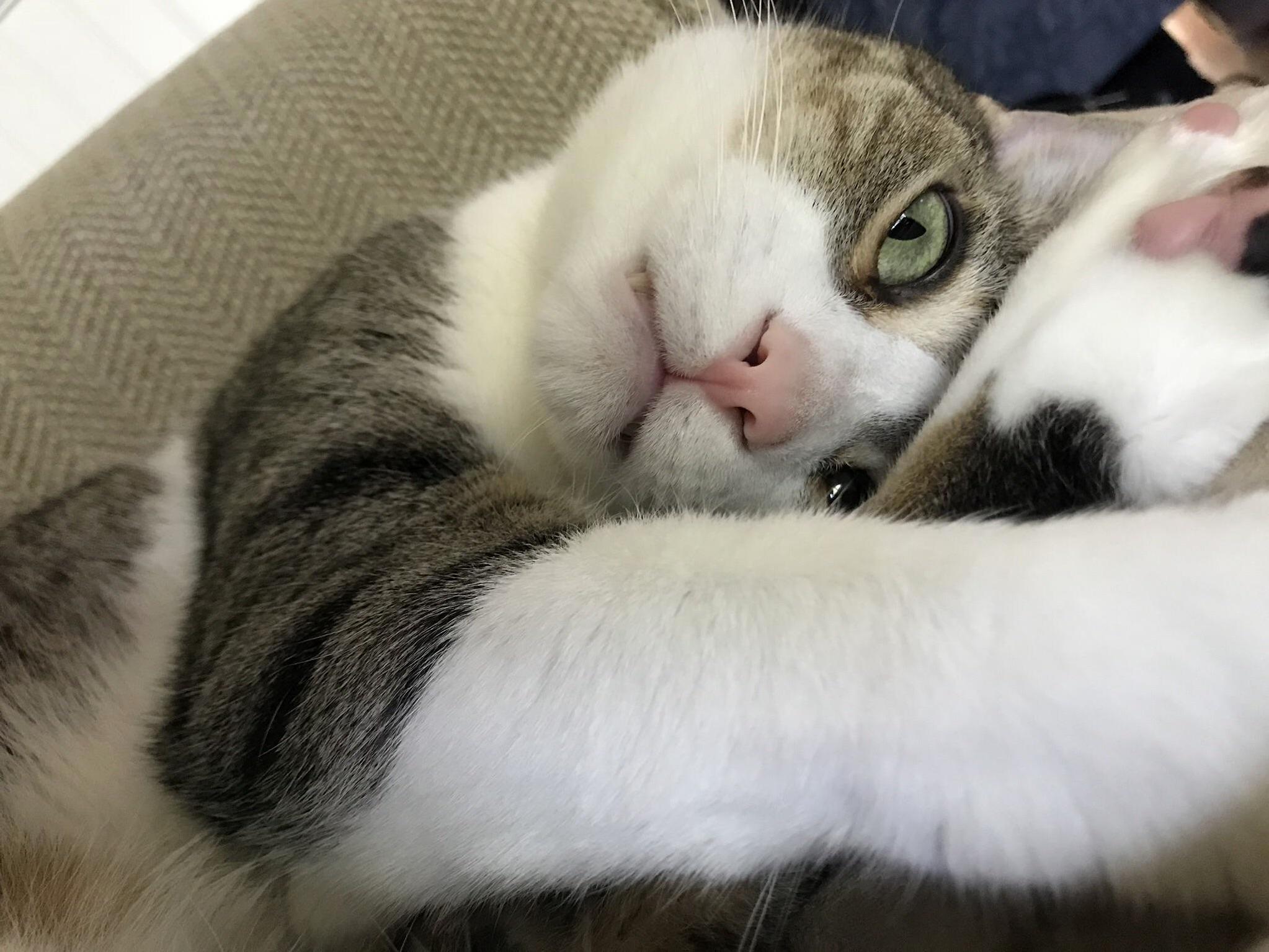I Think He Broke