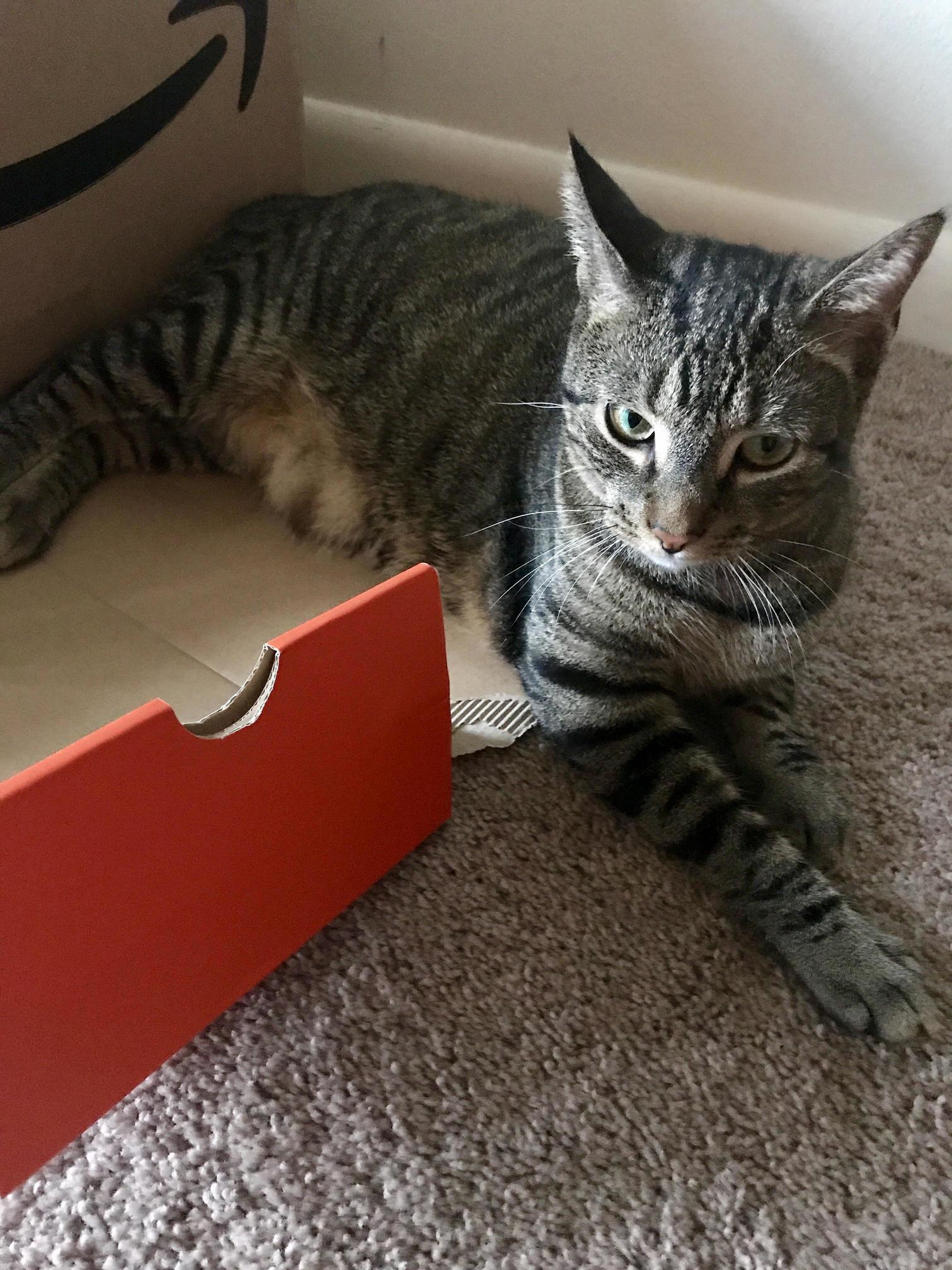 If It Fits I Sit Until It Splits.