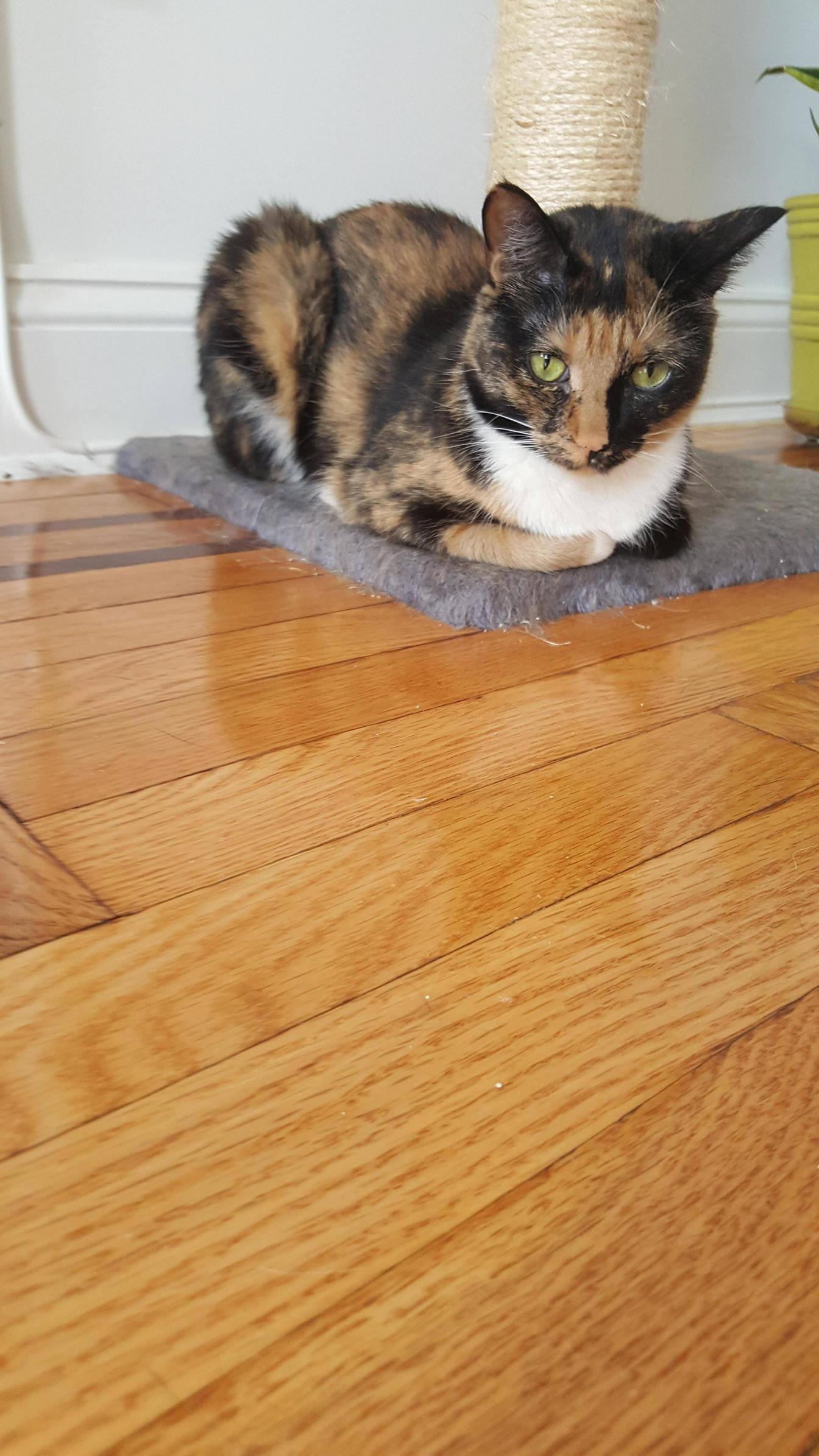 It Matters Not If Im Rye Challah or Marble. It Matters Only That I Am Loaf.