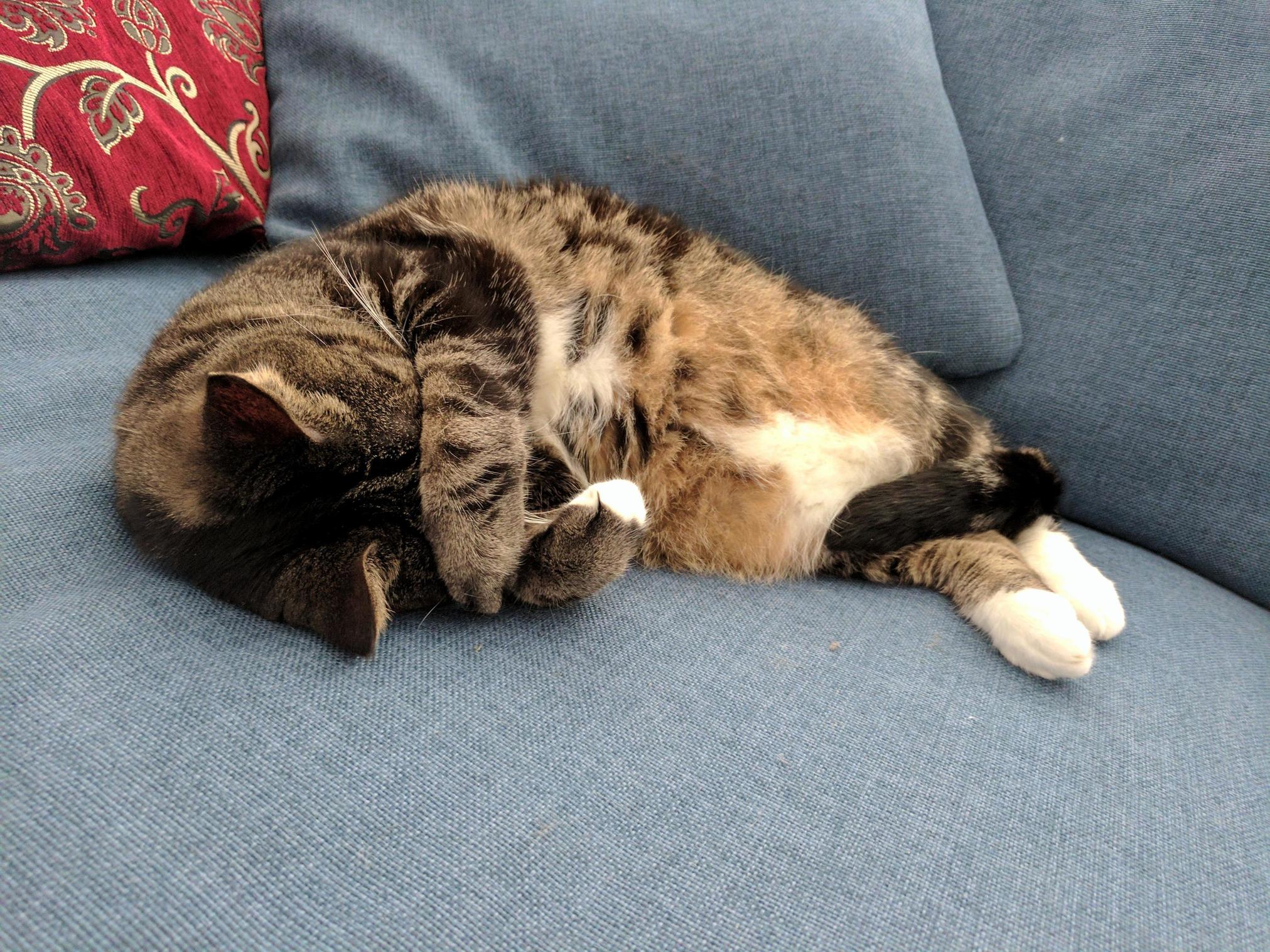 Just My Baby Having a Nap and Being a Cutie