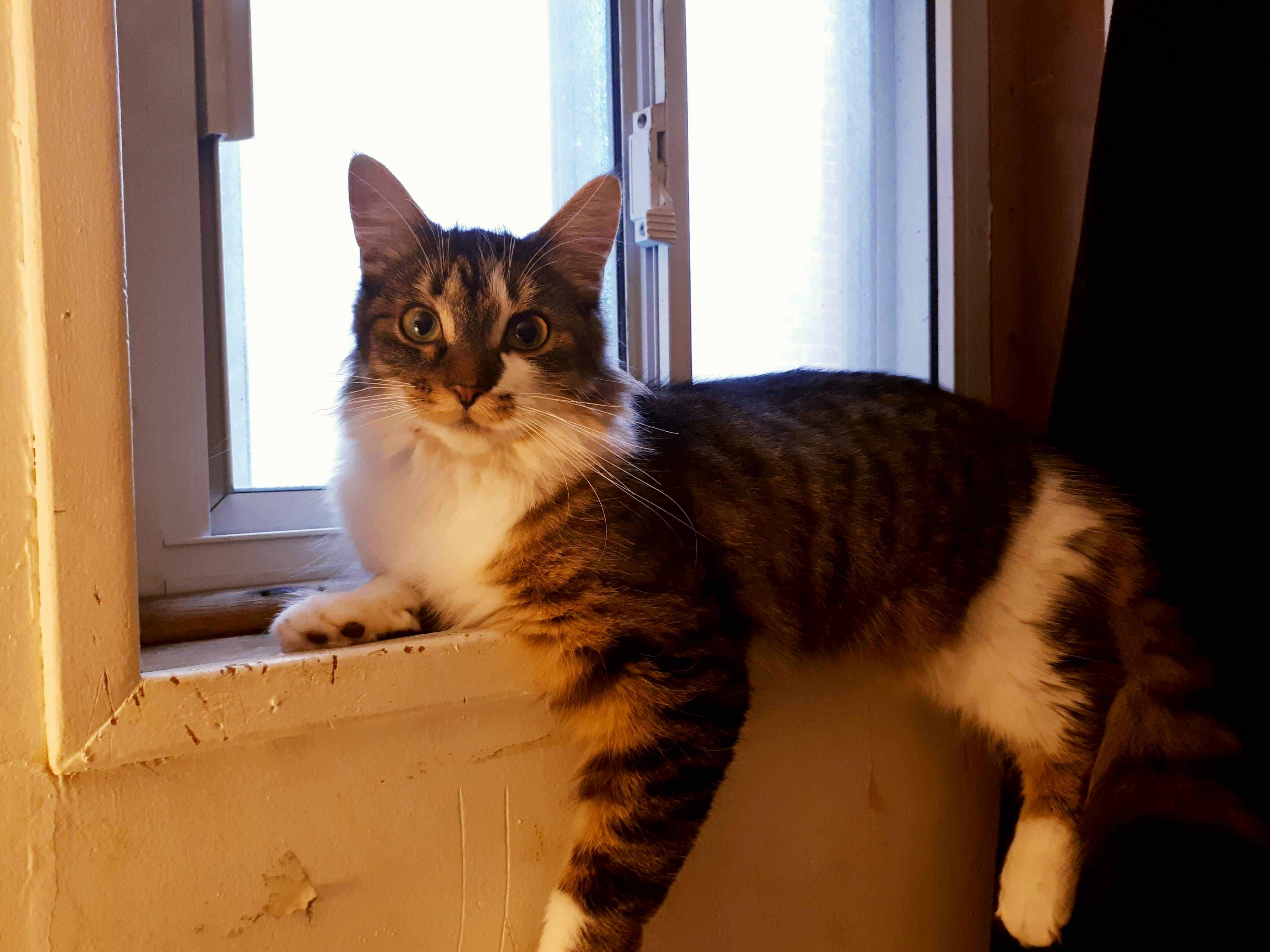 Liz Lemon in Her Favourite Spot