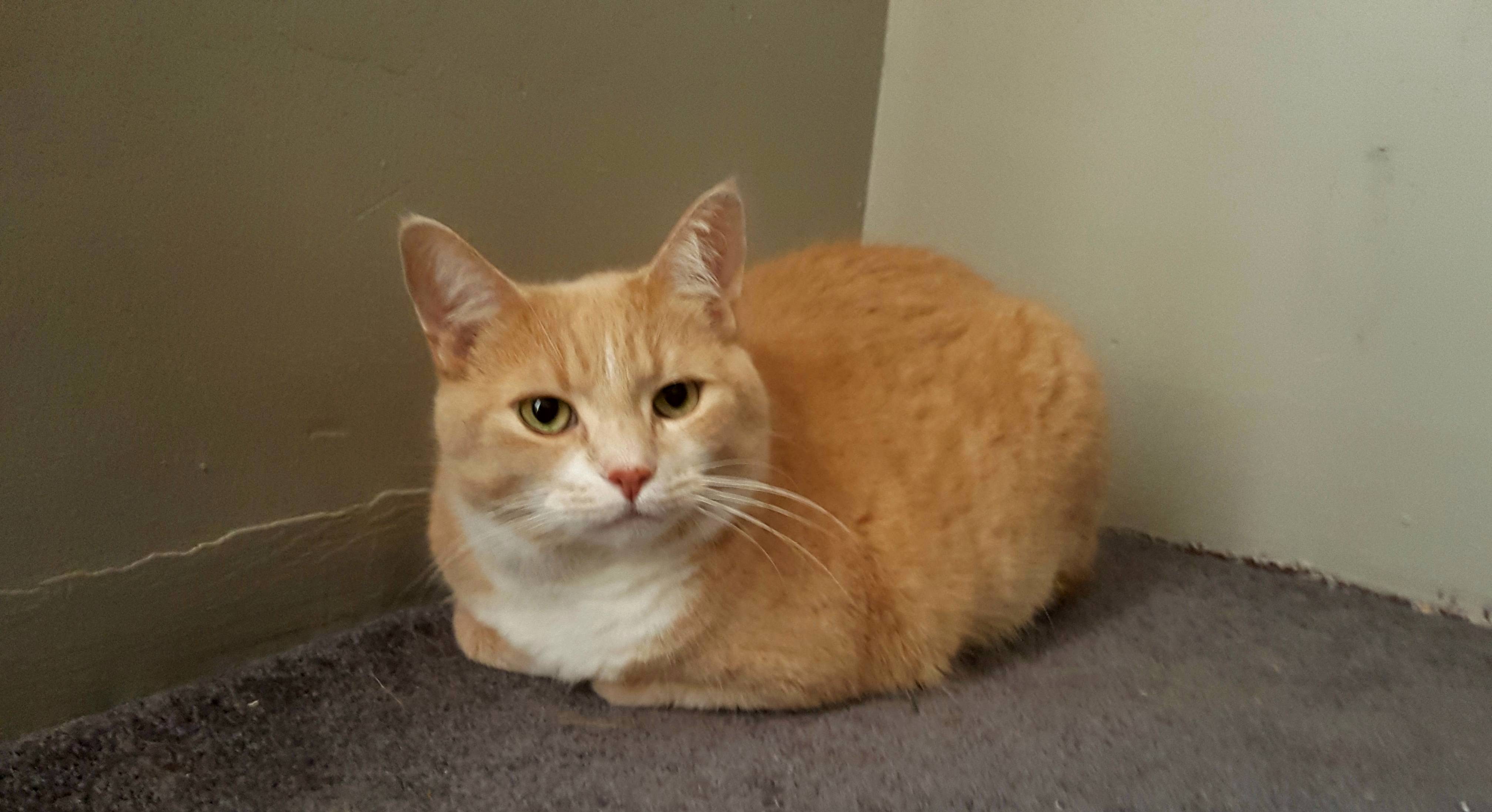 Loaf Living Up to His Name