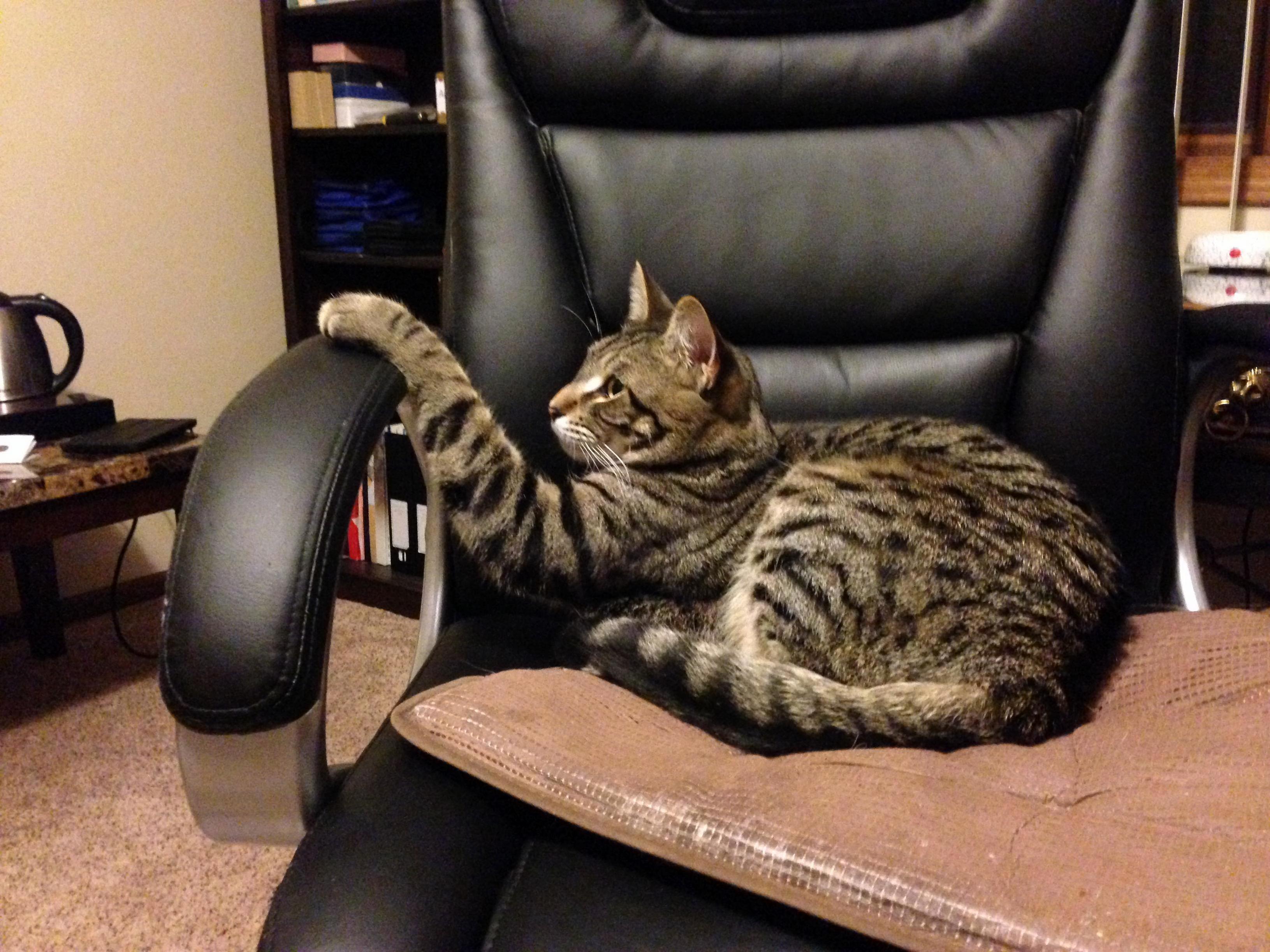 Look Im a Little Teapot .