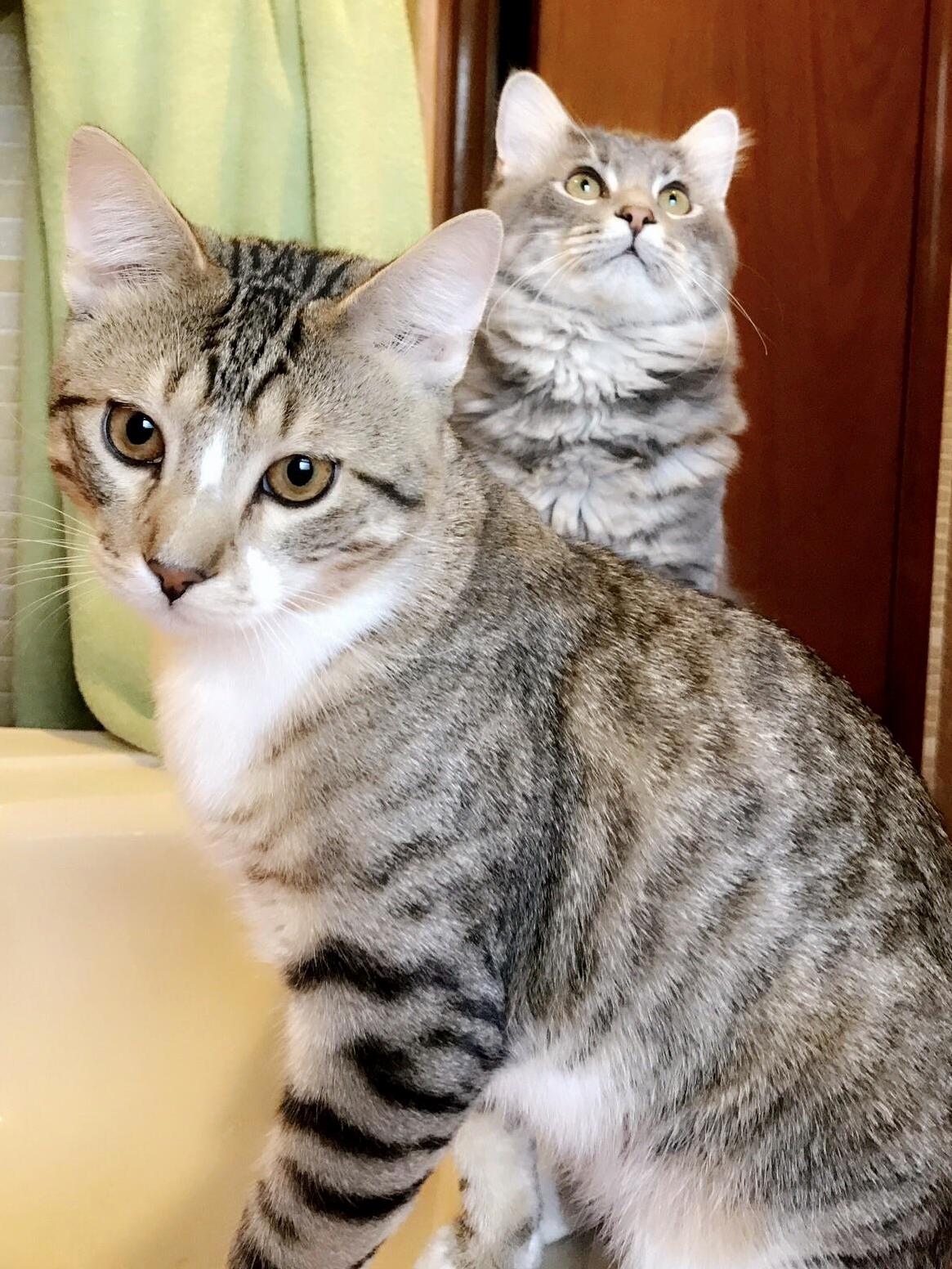 Looks Like Theyre Working on Their New Mixtape Album Art.