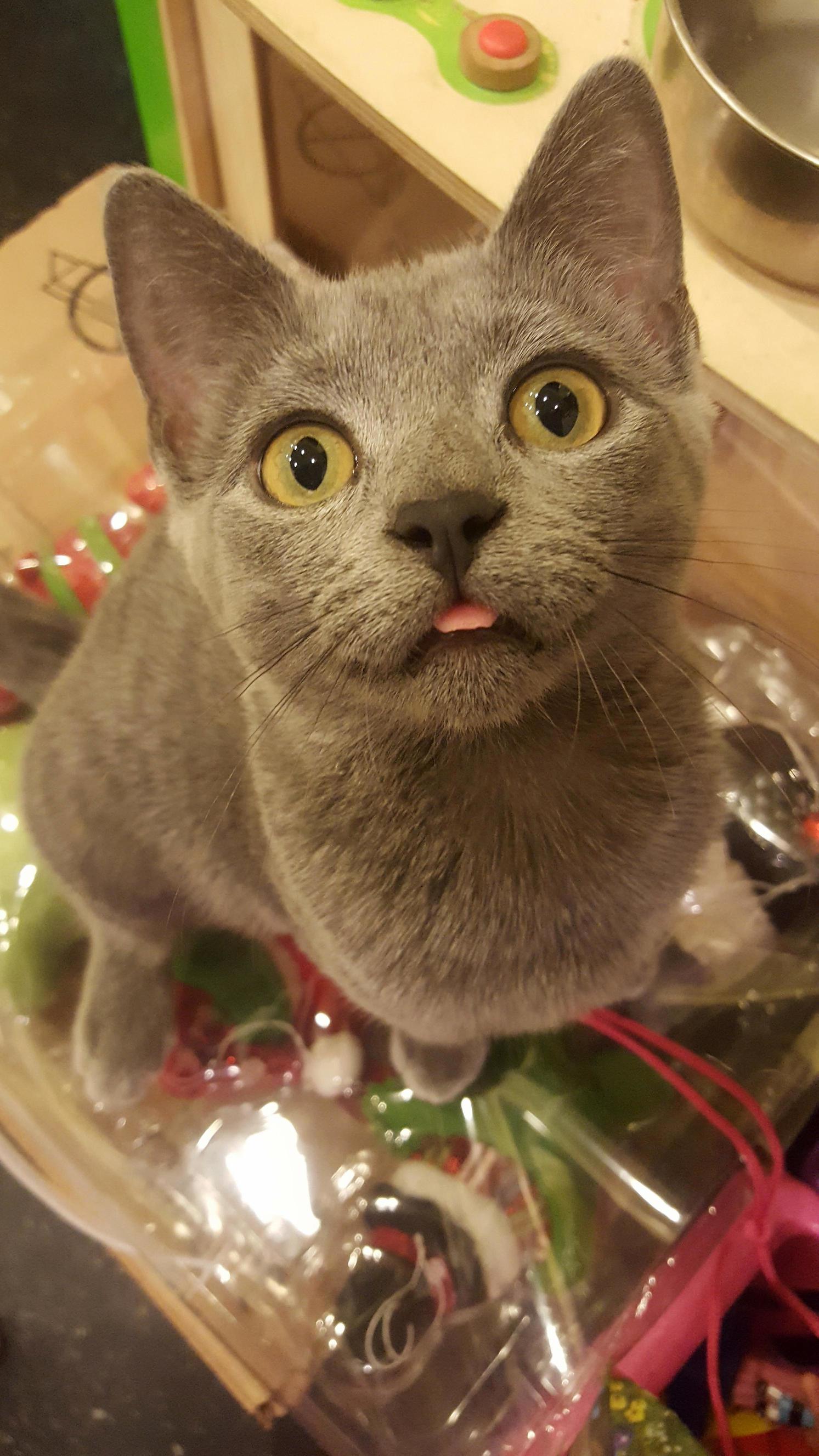 Makin Raspberries