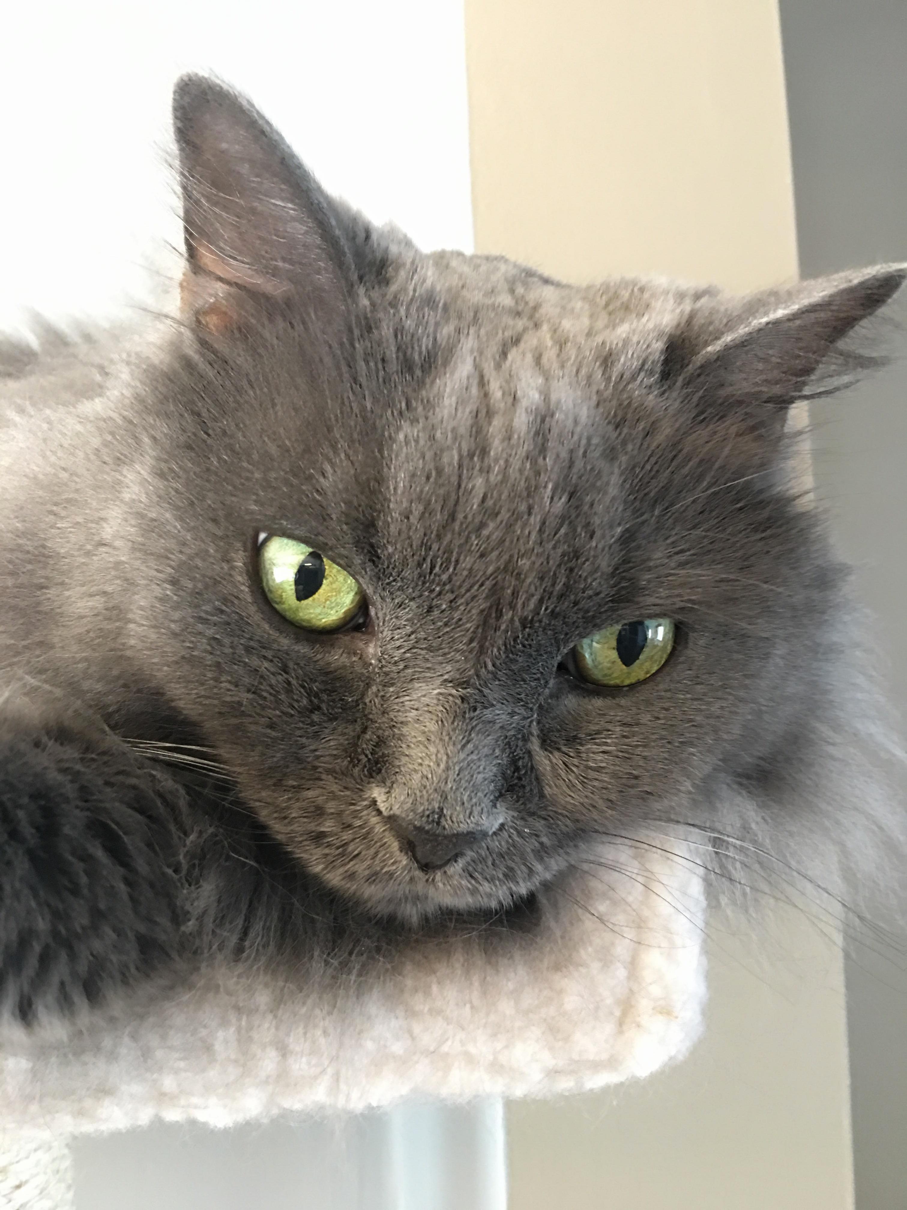 Meet Kennedy